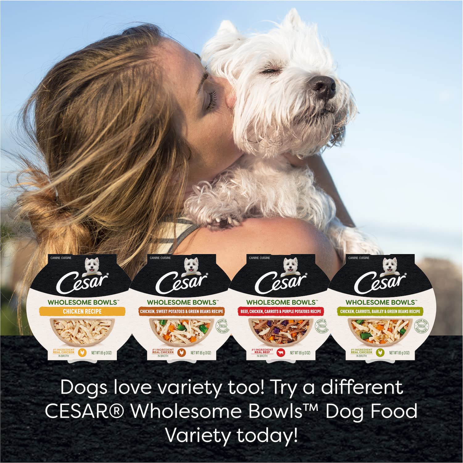 CESAR WHOLESOME BOWLS Adult Soft Wet Dog Food Variety Pack, Beef, Chicken, Carrots, Barley & Green Beans Recipe and Chicken, App