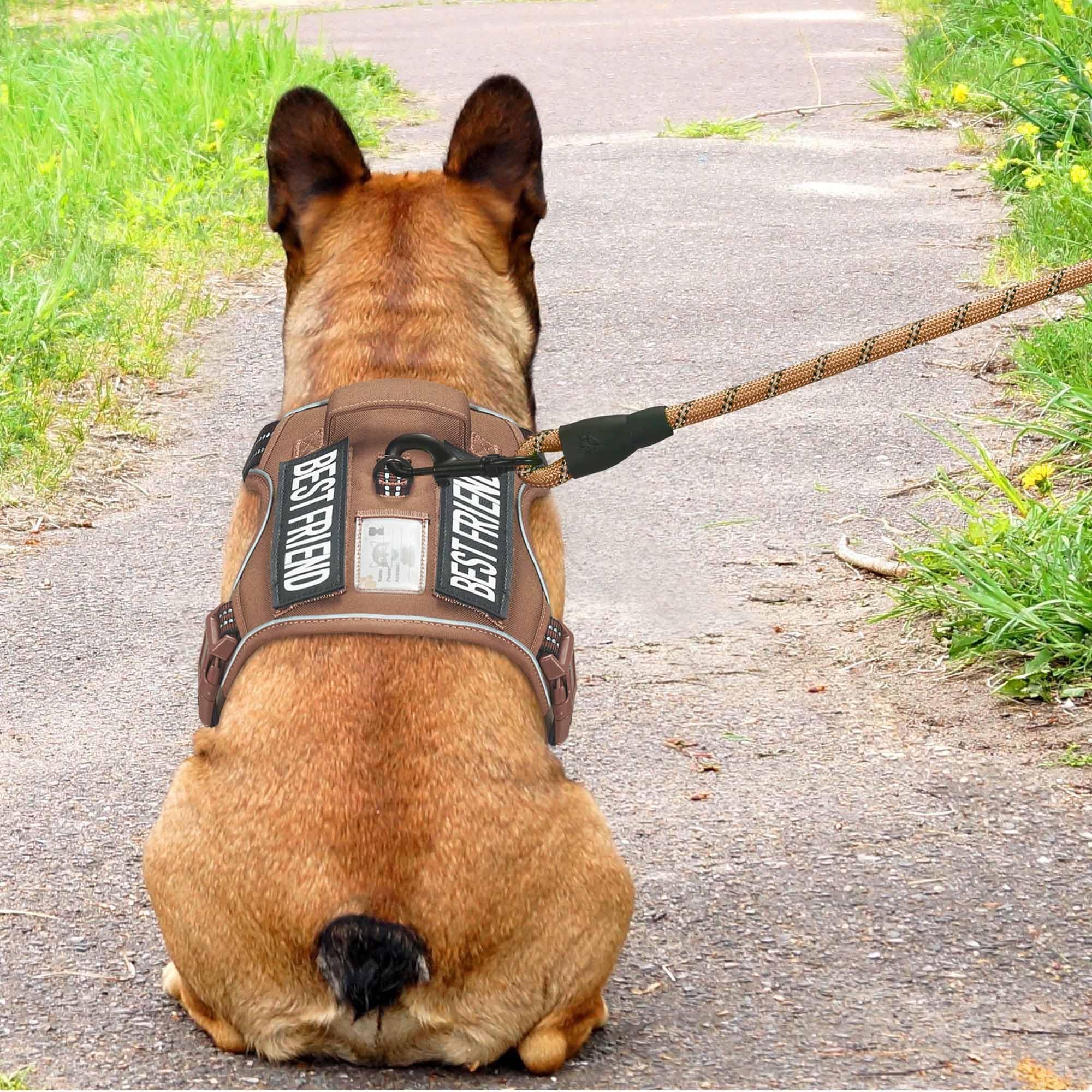 Beebiepet Heavy Duty Tactical Dog Harness For Medium Dogs, Brown, Molle System, Four-Point Adjustment, Anti-Lost Id Tag, Include