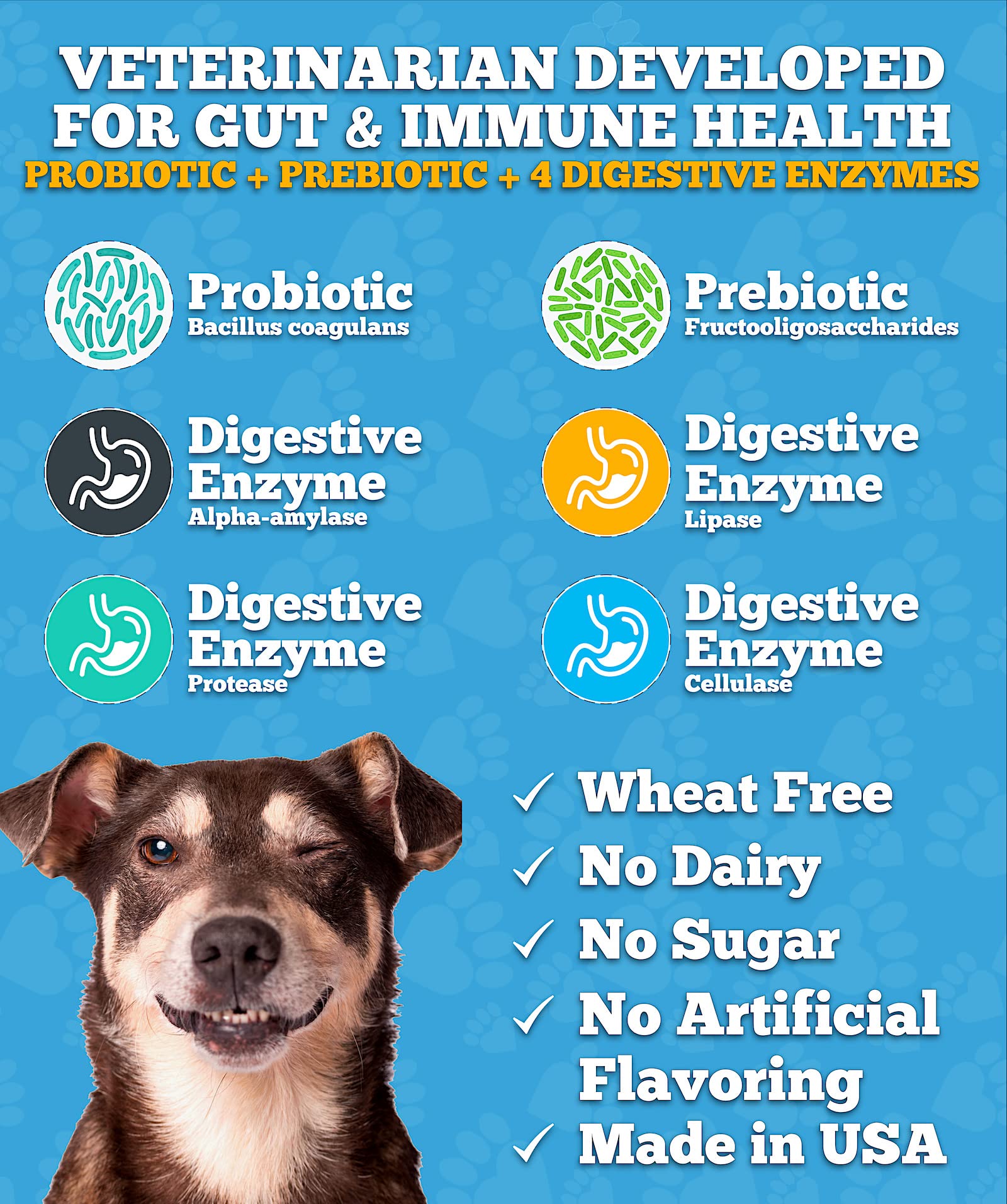 Well Loved Probiotics for Dogs, Dog Probiotics, Made in USA, Vet Developed for Gut Health, Yeast Balance, Itchy Skin, Diarrhea &