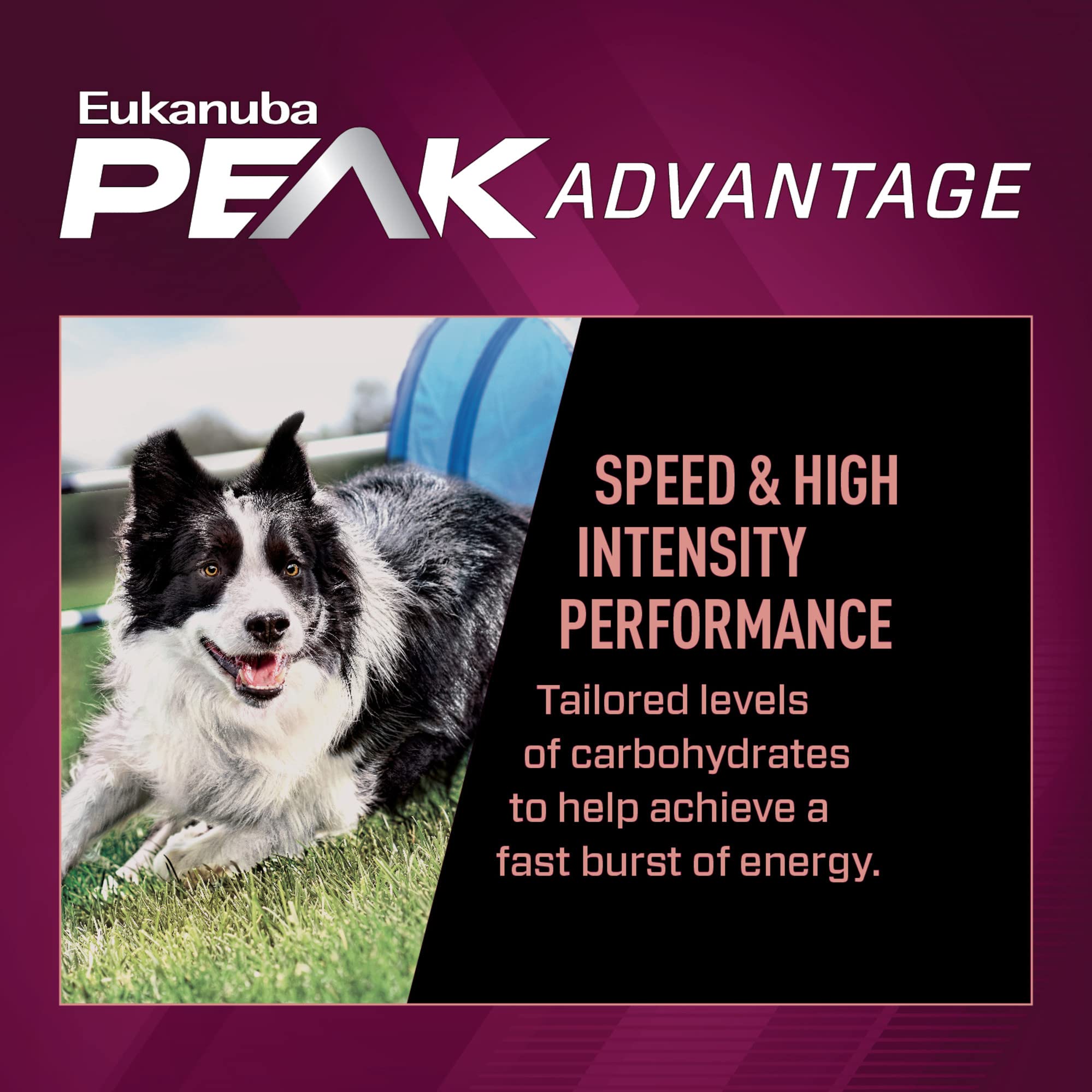 Eukanuba Premium Performance 21/13 Sprint Dry Dog Food, Dry Dog Food with Protein and Fat to Support Optimal Energy, 28 lb Bag