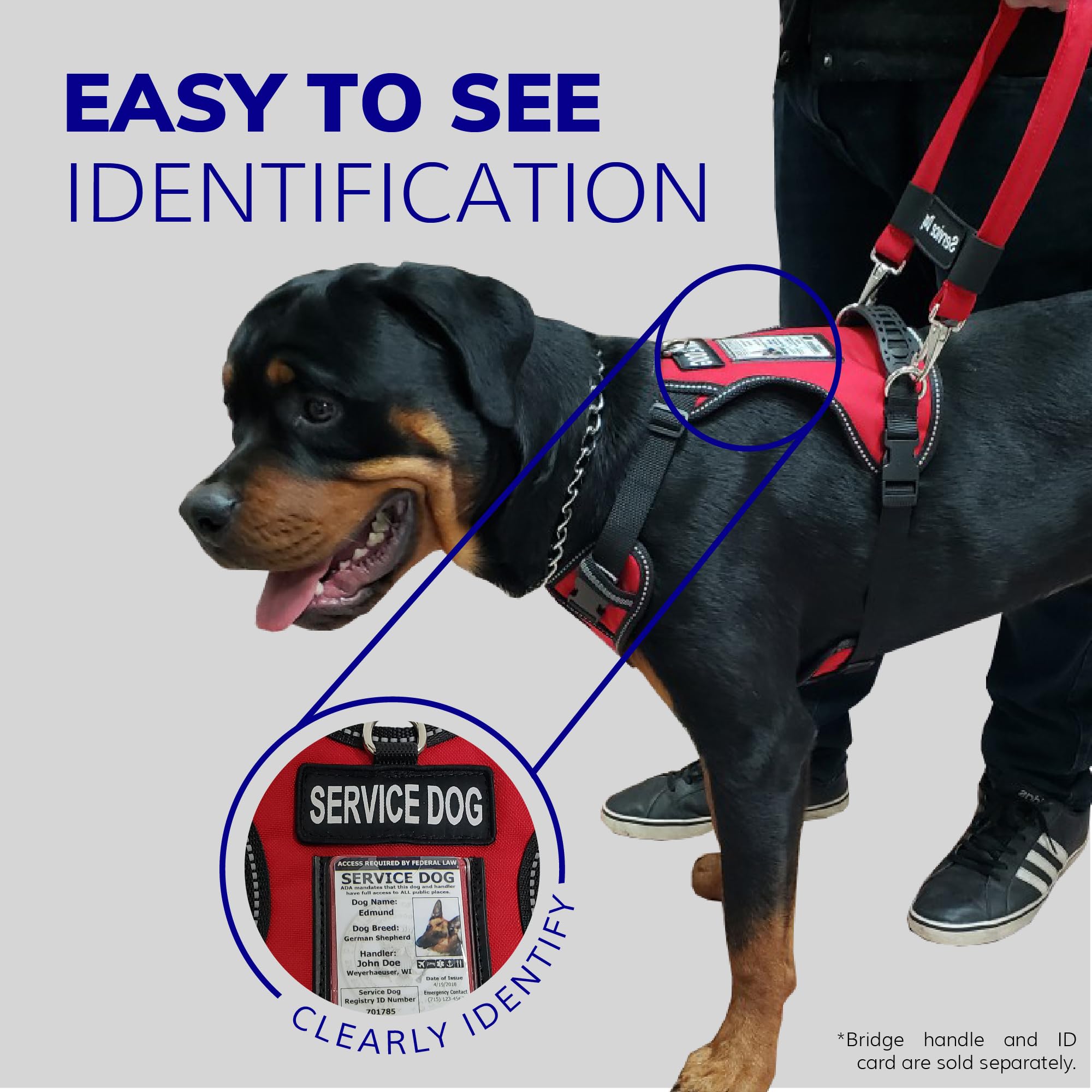 Activedogs Service Dog Vest No Pull Harness - Adjustable No Choke Service Dog Harness For Small Dogs With Service Dog Patch, Control Handle, Id Window, D-Rings & Reflective Padding - Red, 19'-25'