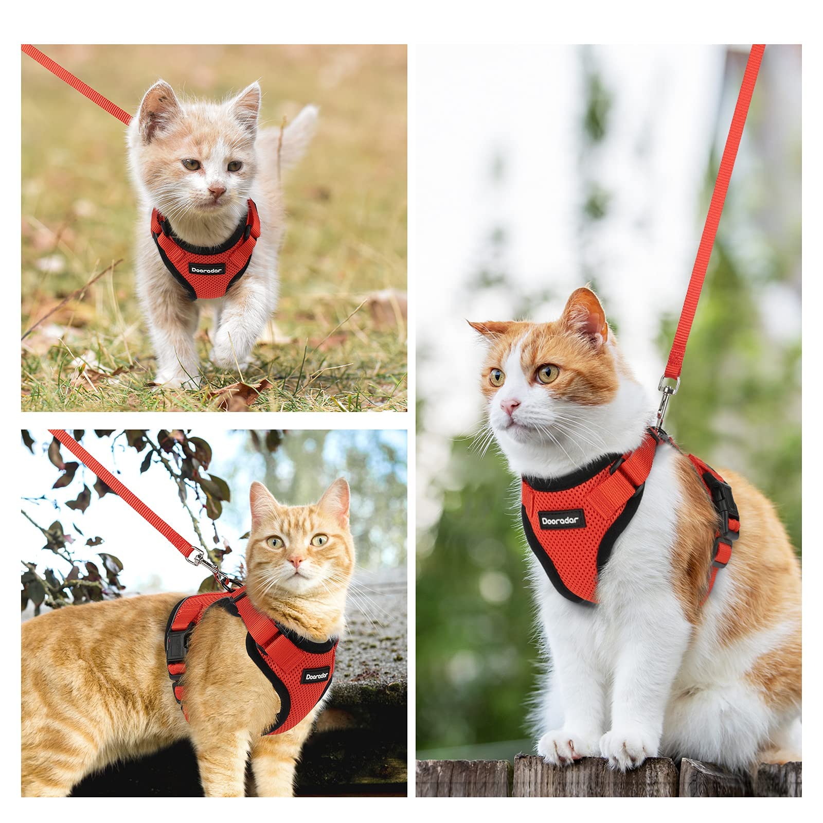 Dooradar Cat Harness And Leash Set, Escape Proof Safe Adjustable Kitten Vest Harnesses For Walking, Easy Control Soft Breathable Mesh Jacket With Reflective Strips For Cats, Reddish Orange, S