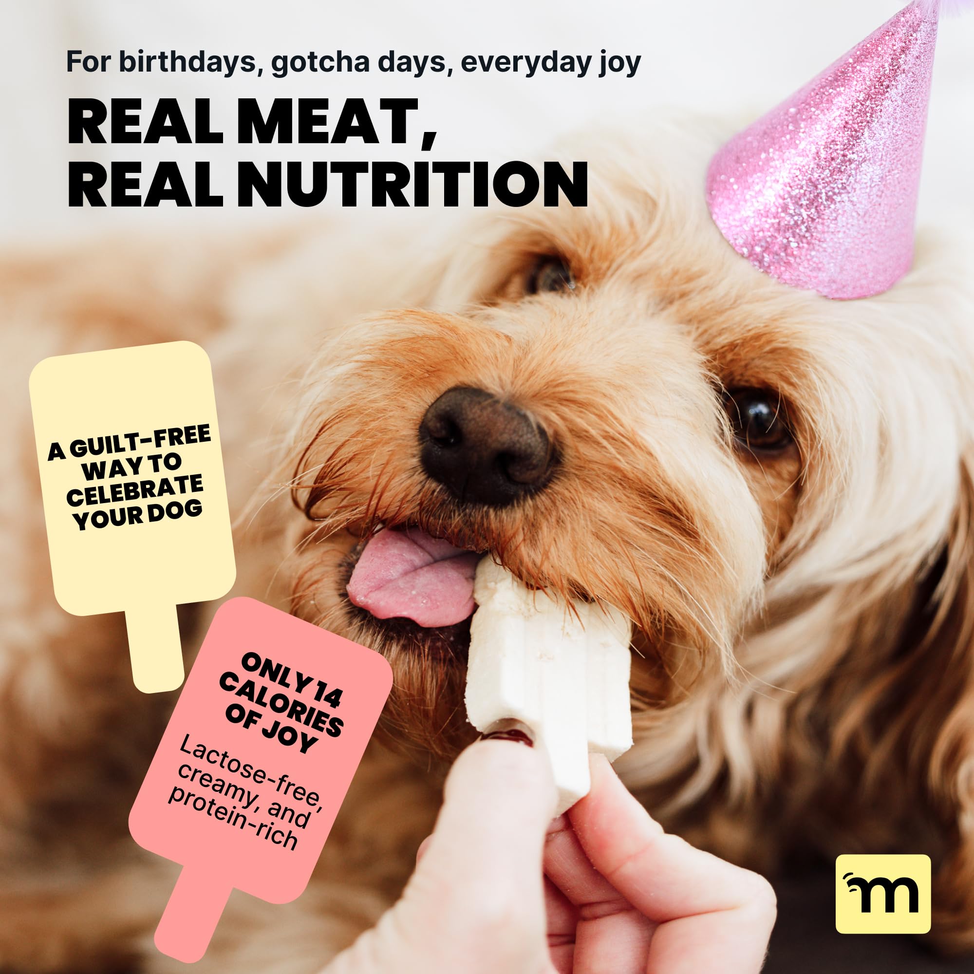 MalsiPree Ice Cream Dog Birthday Treats - Grain & Lactose-Free - Freeze Dried Dog Treats - High Protein, Low Calorie & Healthy -