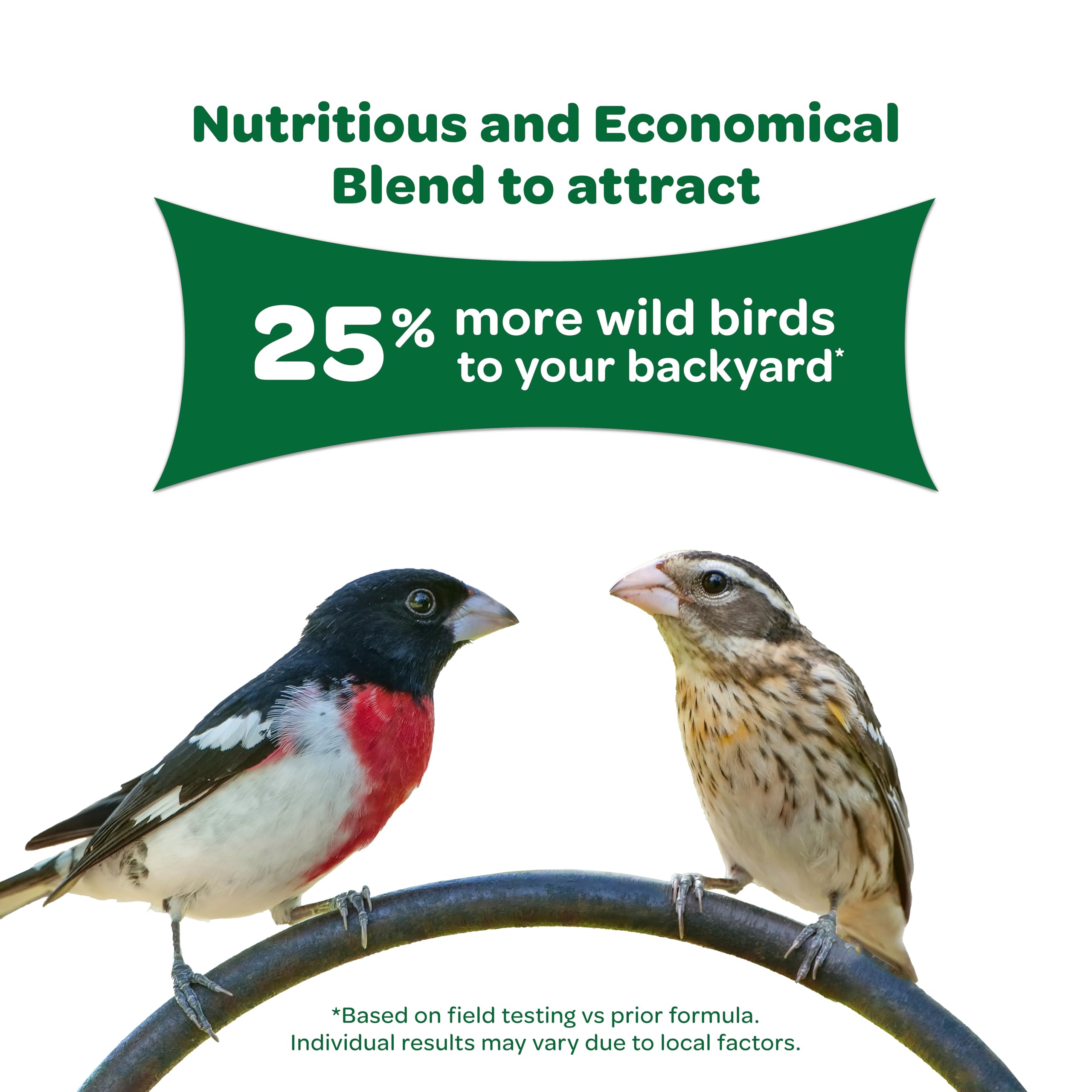 BIRDSEED WILD 5#POLY K-T (Pack of 1)