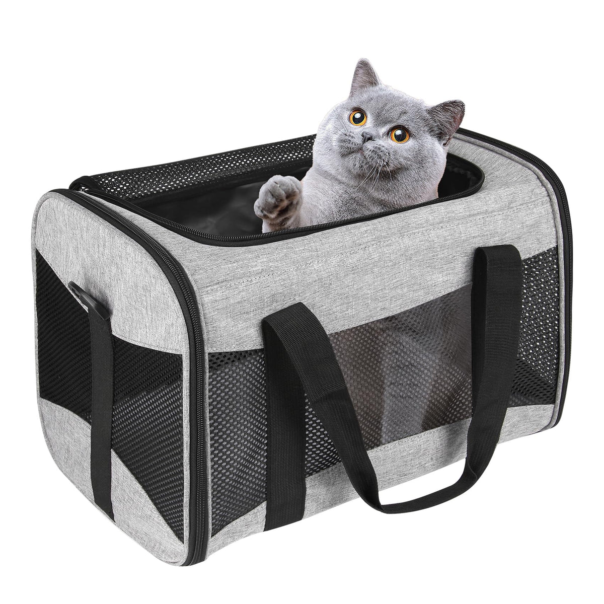 Cat Carrying Case - Pet Carrier Airline Approved, Protable And Breathable Pet Travel Carrier Removable Fleece Pad, Collapsible Cat Carrier Dog Carrier For Medium Cats Small Cats Dogs(15 * 10 * 10)