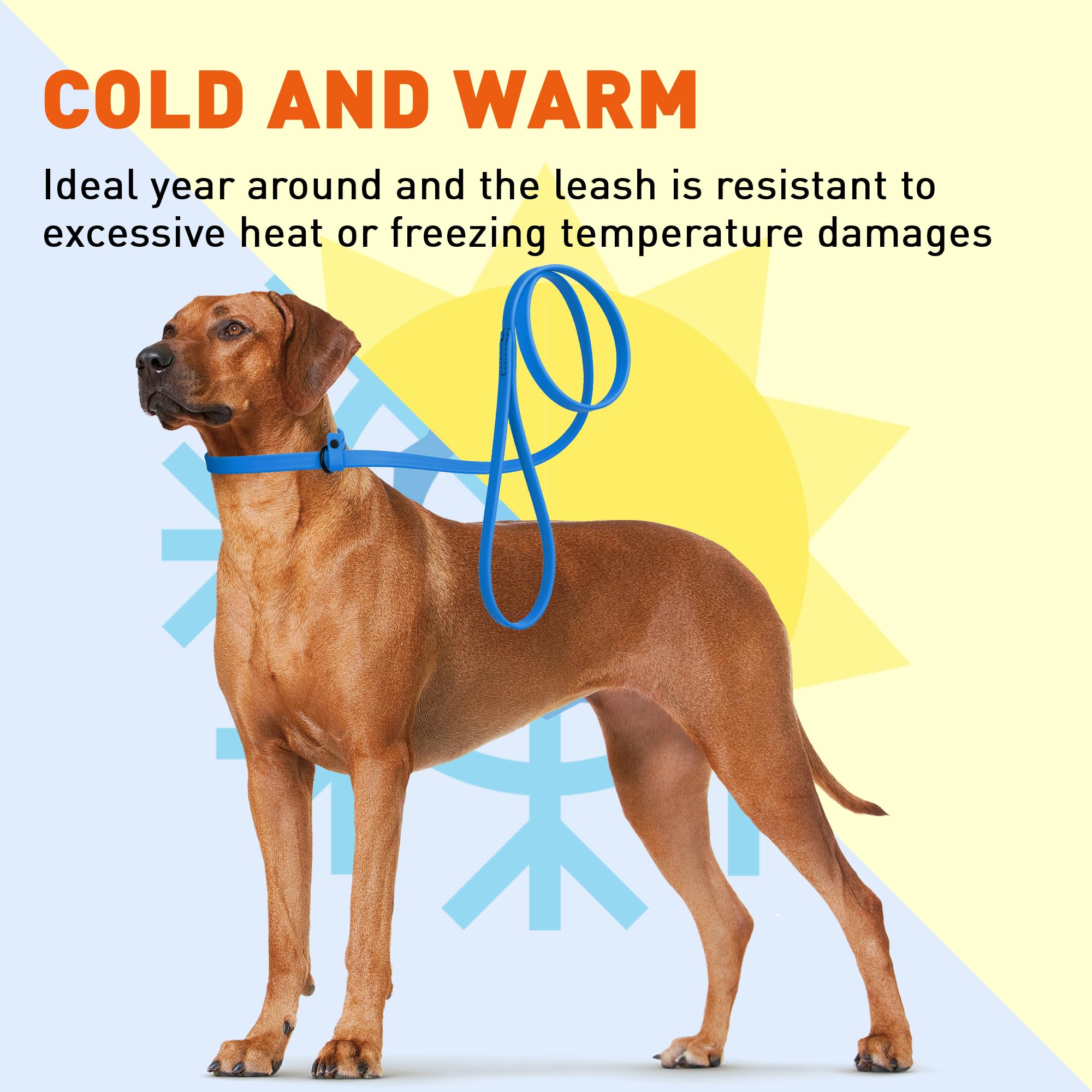 Dogline Biothane Slip Dog Leash - For Small, Medium And Large Dogs - Odor Free Slip Lead, Heavy Duty And Durable Material Kennel Lead - Cerulean Blue - 7Ft L X 1/2In W