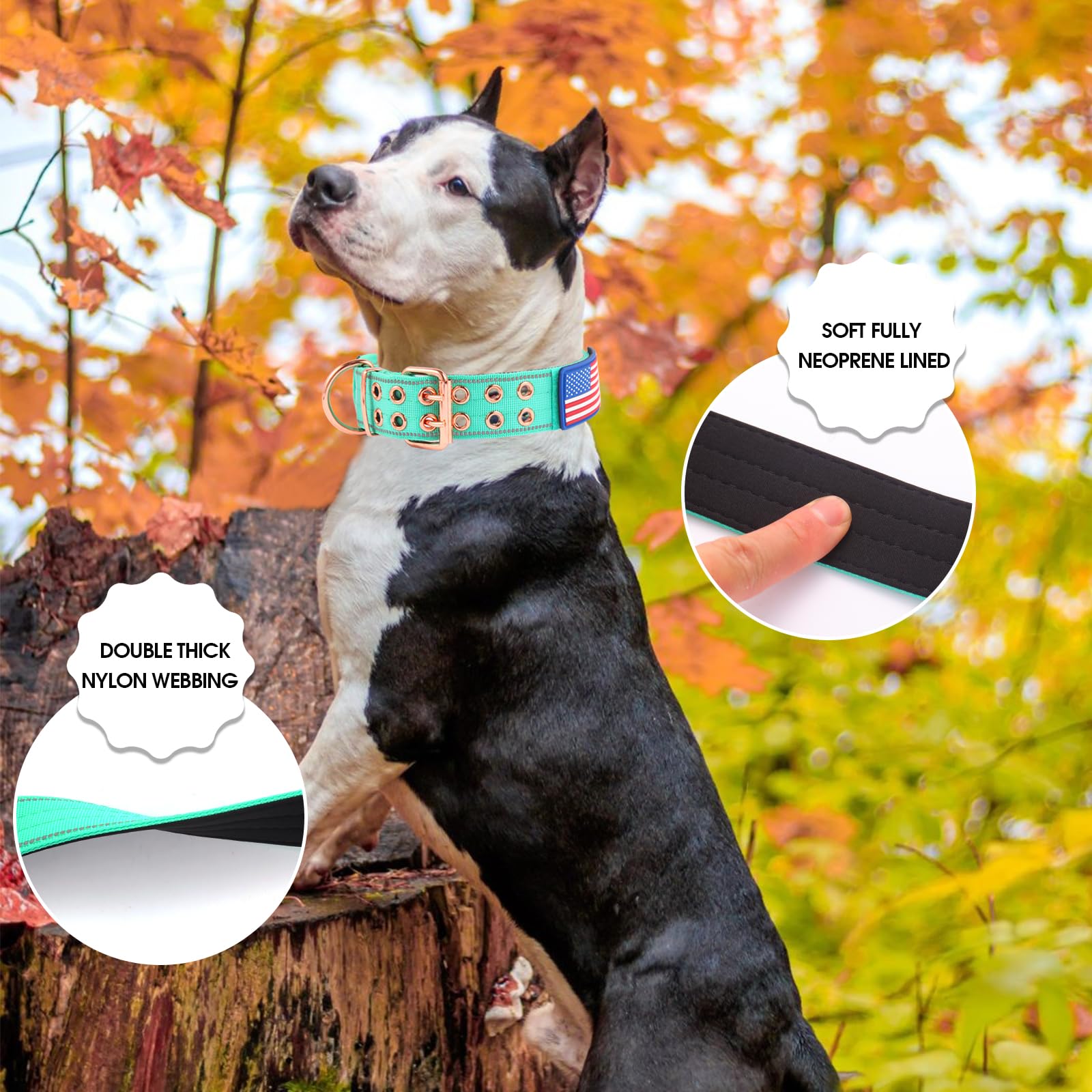 Yunleparks Heavy Duty Tactical Dog Collar With Neoprene Padded And Metal Buckle, Reflective Nylon For Medium To Large Dogs(Teal,