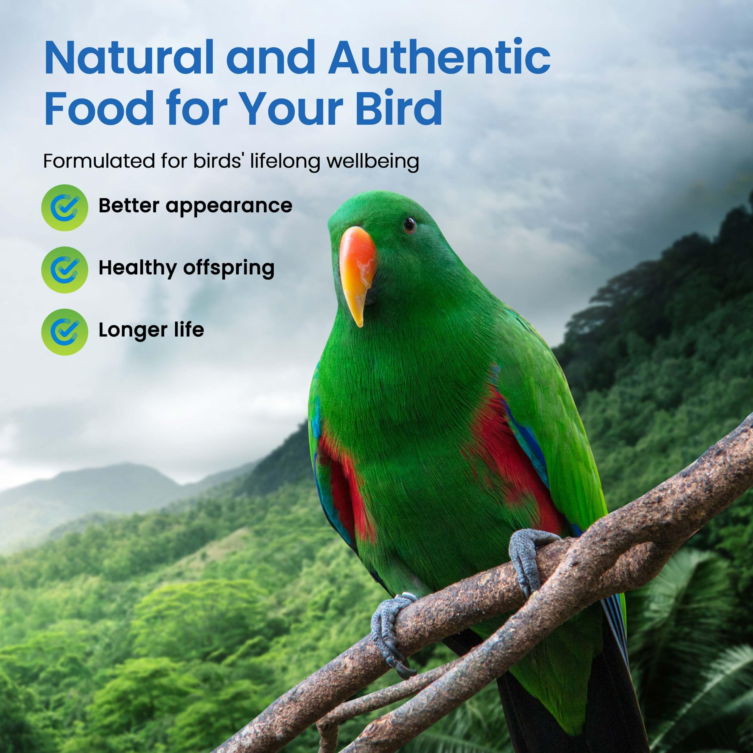 Harrisons Bird Foods Pepper Lifetime Coarse 5lb Certified Organic Non-GMO Formula