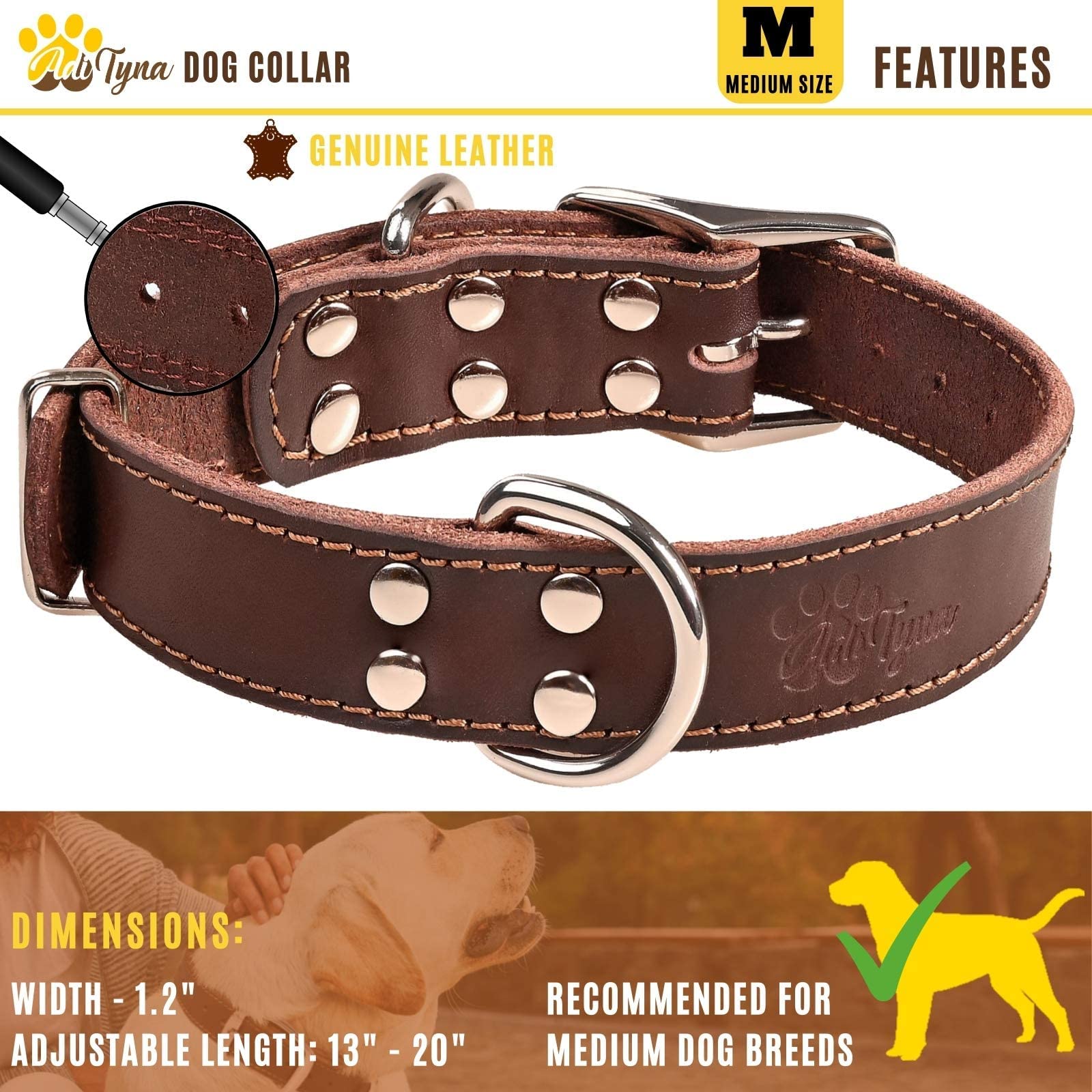 Adityna Heavy Duty Leather Dog Collar For Medium Dogs - Medium Dog Collar Gift Ideea For Dog Lovers - Soft And Strong,100% Genuine Leather (Medium, Brown)