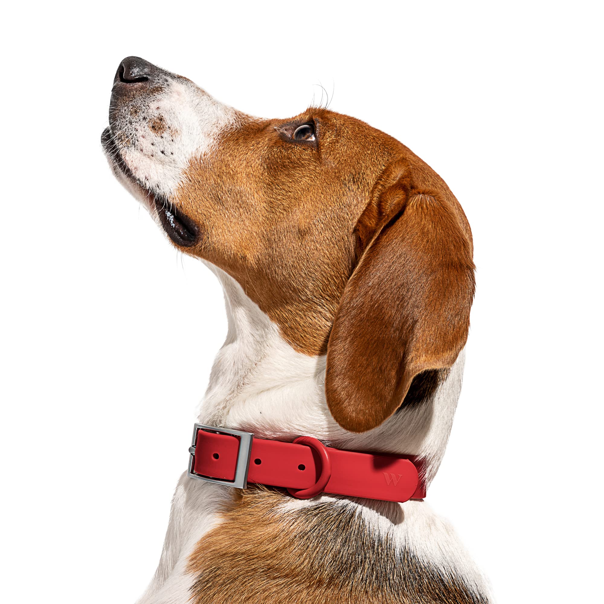 Wild One Collar - X Small - Strawberry