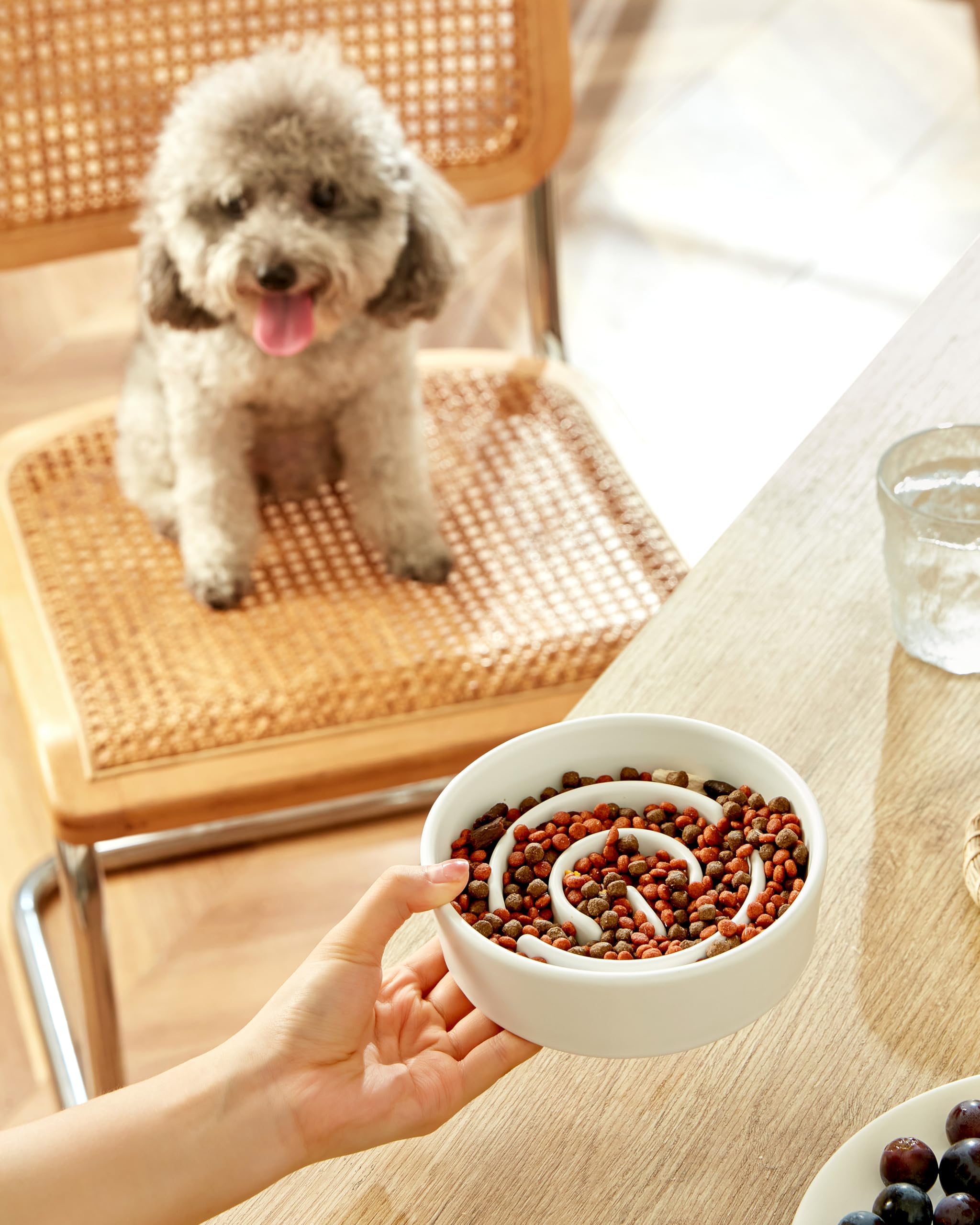 Mopang Ceramic Slow Feeder Dog Bowls, 0.6 Cup Slow Feeder For Small Dogs And Cats, Puzzle Maze Bowl, Prevents Choking, 6In, Whit