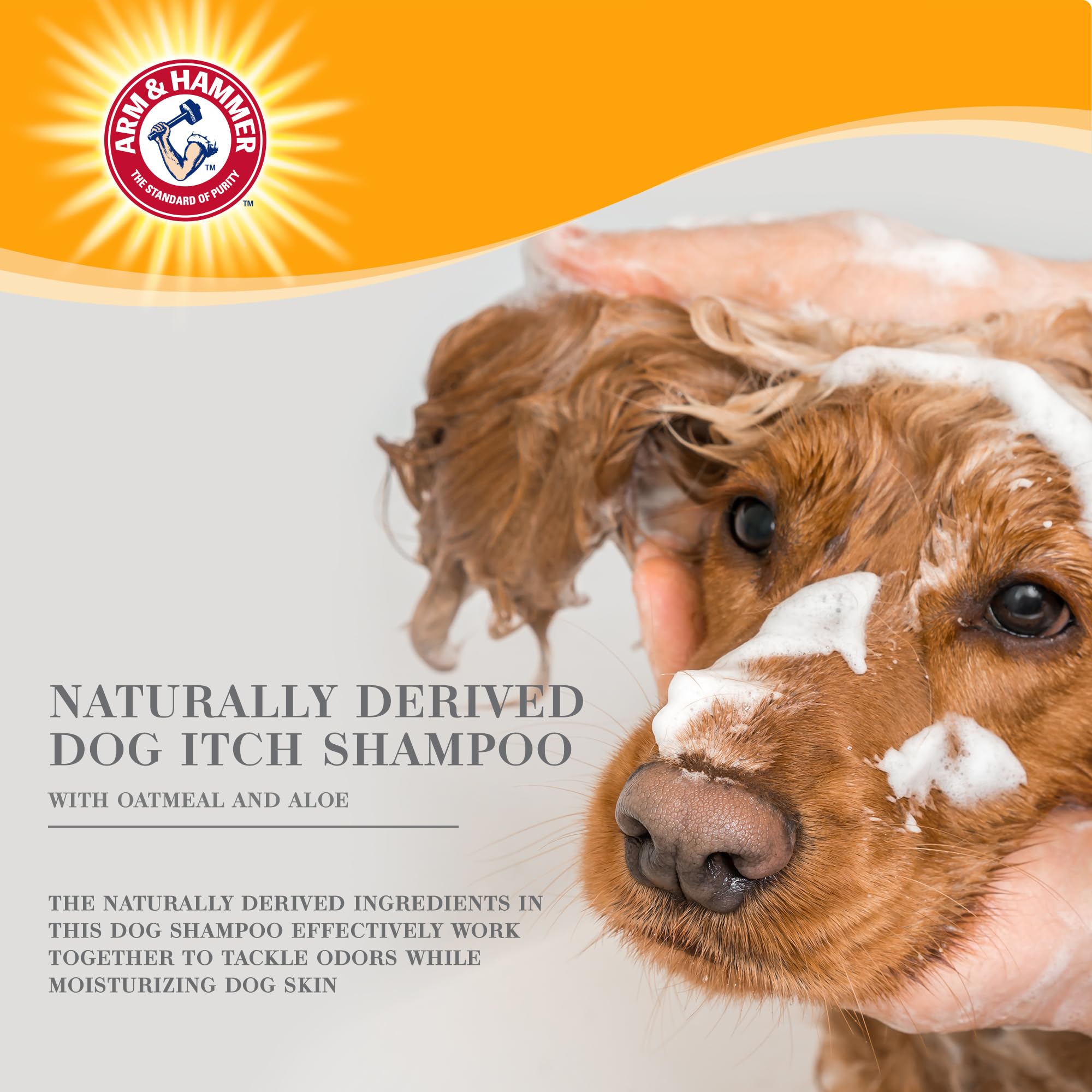 Arm & Hammer For Pets Ultra Fresh Itch Relief Shampoo With Oatmeal & Aloe Value Size With Pump 24Oz | Great Smelling Dog Grooming Supplies, Dog Bathing Supplies, Dog Wash, Puppy Shampoo, Pet Shampoo