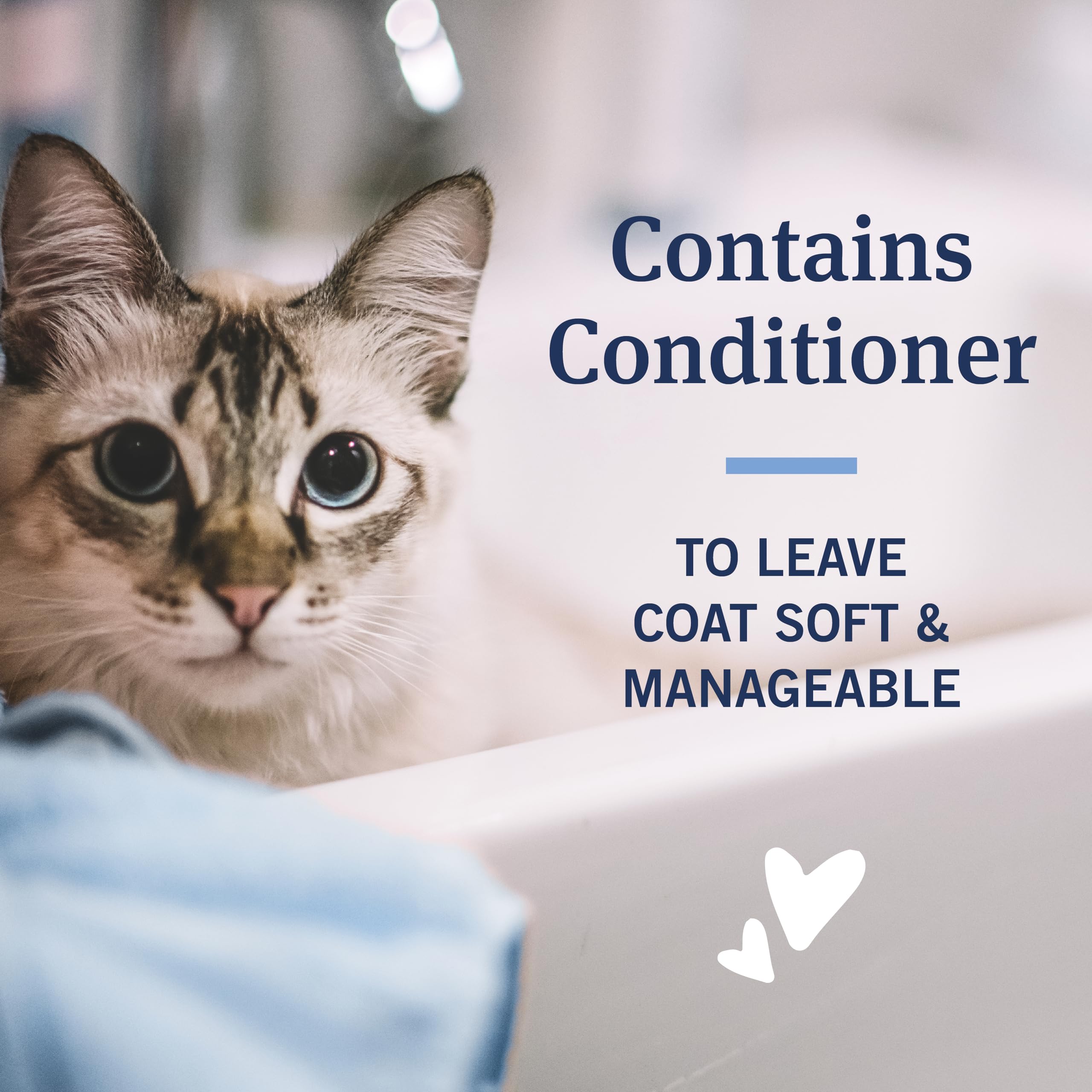 PetArmor Flea and Tick Shampoo for Cats, Coconut Berry Scented Flea Shampoo and Conditioner for Cats, Flea Treatment Kills Fleas