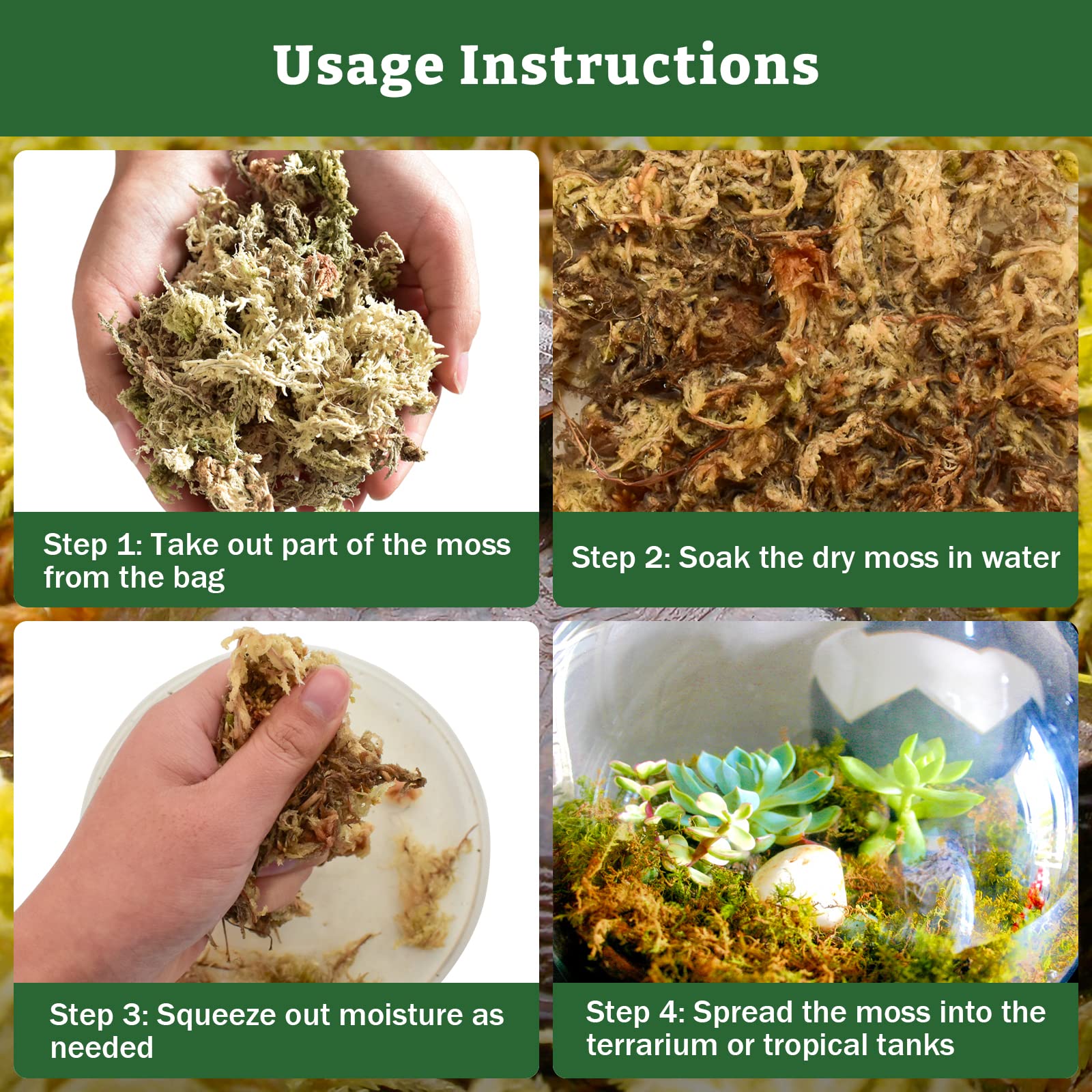 Riare 5.3Oz Premium Sphagnum Moss For Reptiles- 6Qt Natural Reptile Moss Dried, Forest Live Moss For Terrarium, Frogs Snake Peat