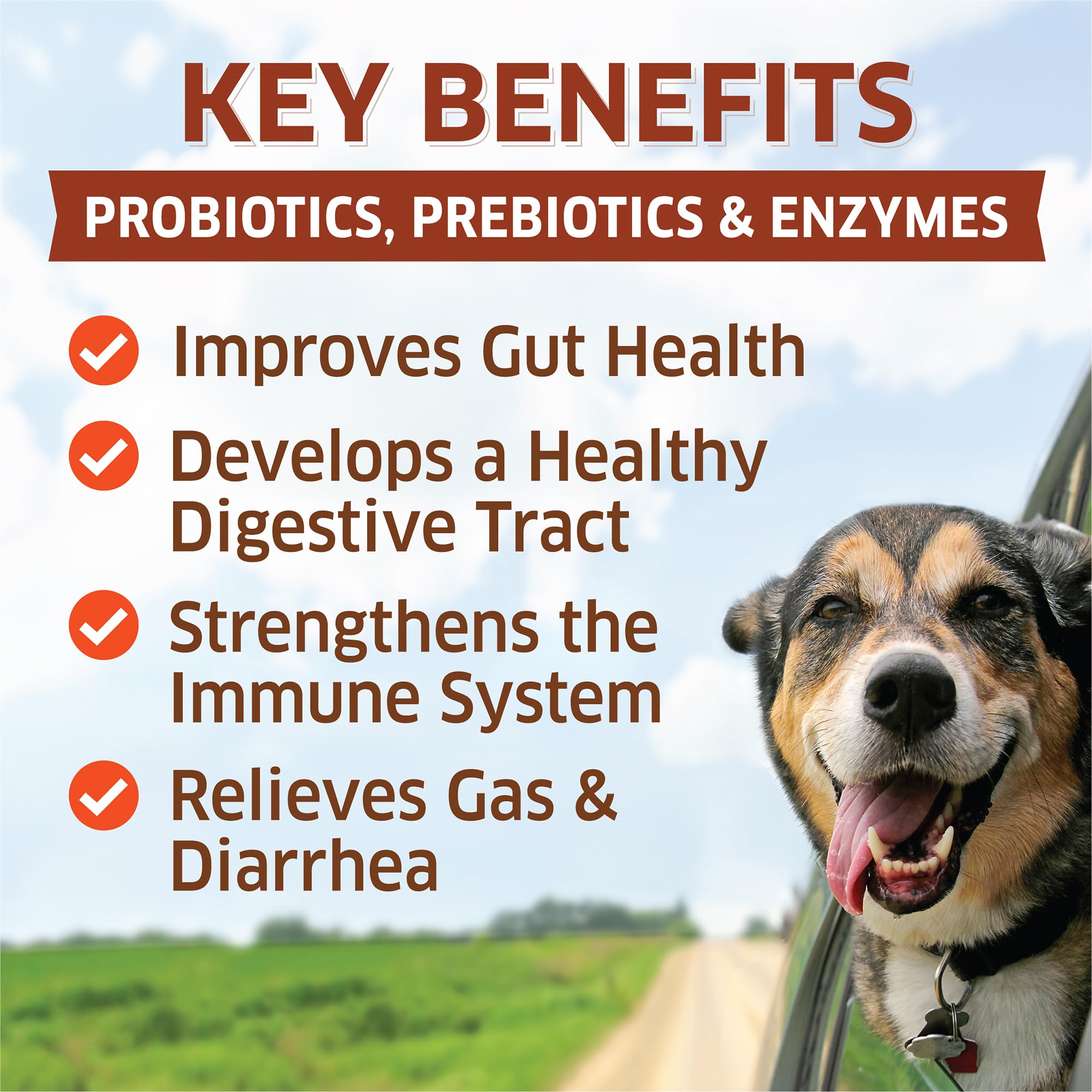 Probiotics for Dogs - Hot Spot Remedy for Dogs + Prebiotic - Dog Allergy Chews - Improve Digestion & Upset Tummy, Relieve Gas &