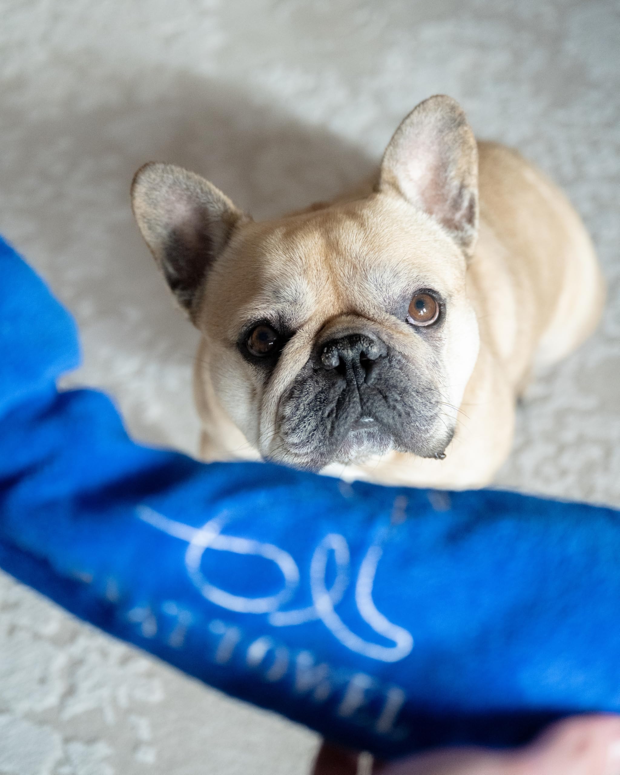 Green Treat Towel (Blue)