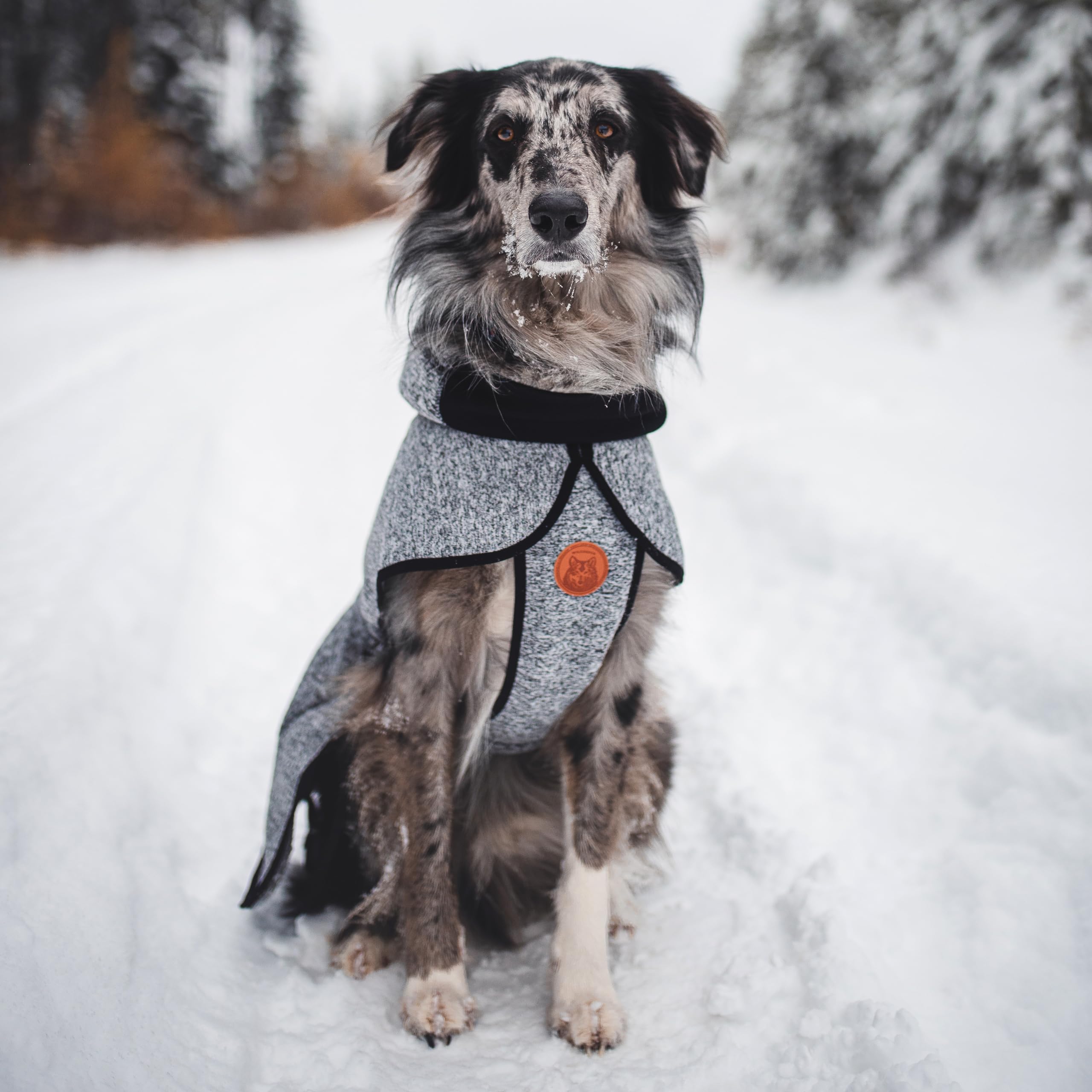 Wilderdog Fleece Dog Jacket With Neoprene Neck Gaiter - Large - Gray