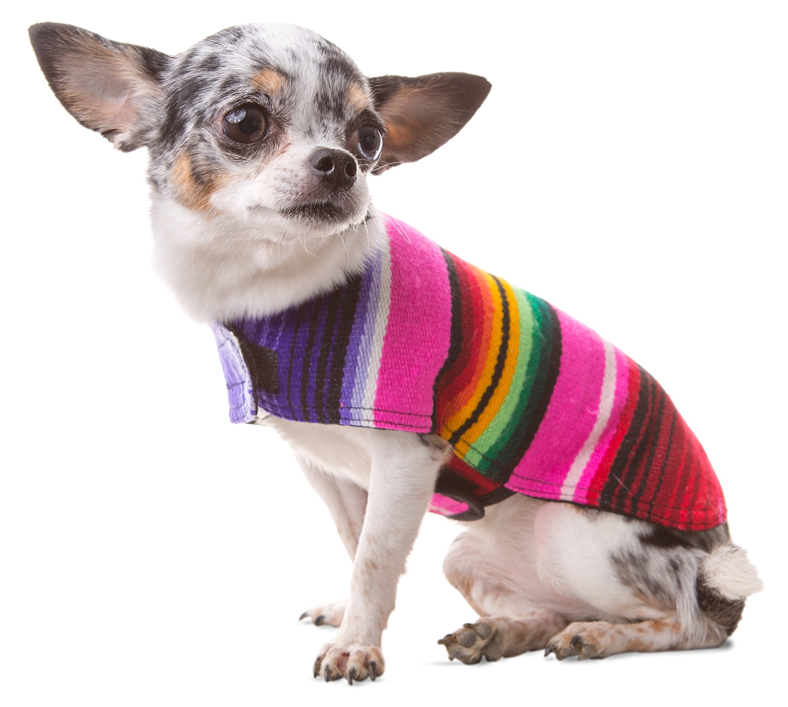Dog Clothes - Handmade Dog Poncho - Cinco De Mayo Chihuahua Costume From Authentic Mexican Blanket (Pink, Xxs)