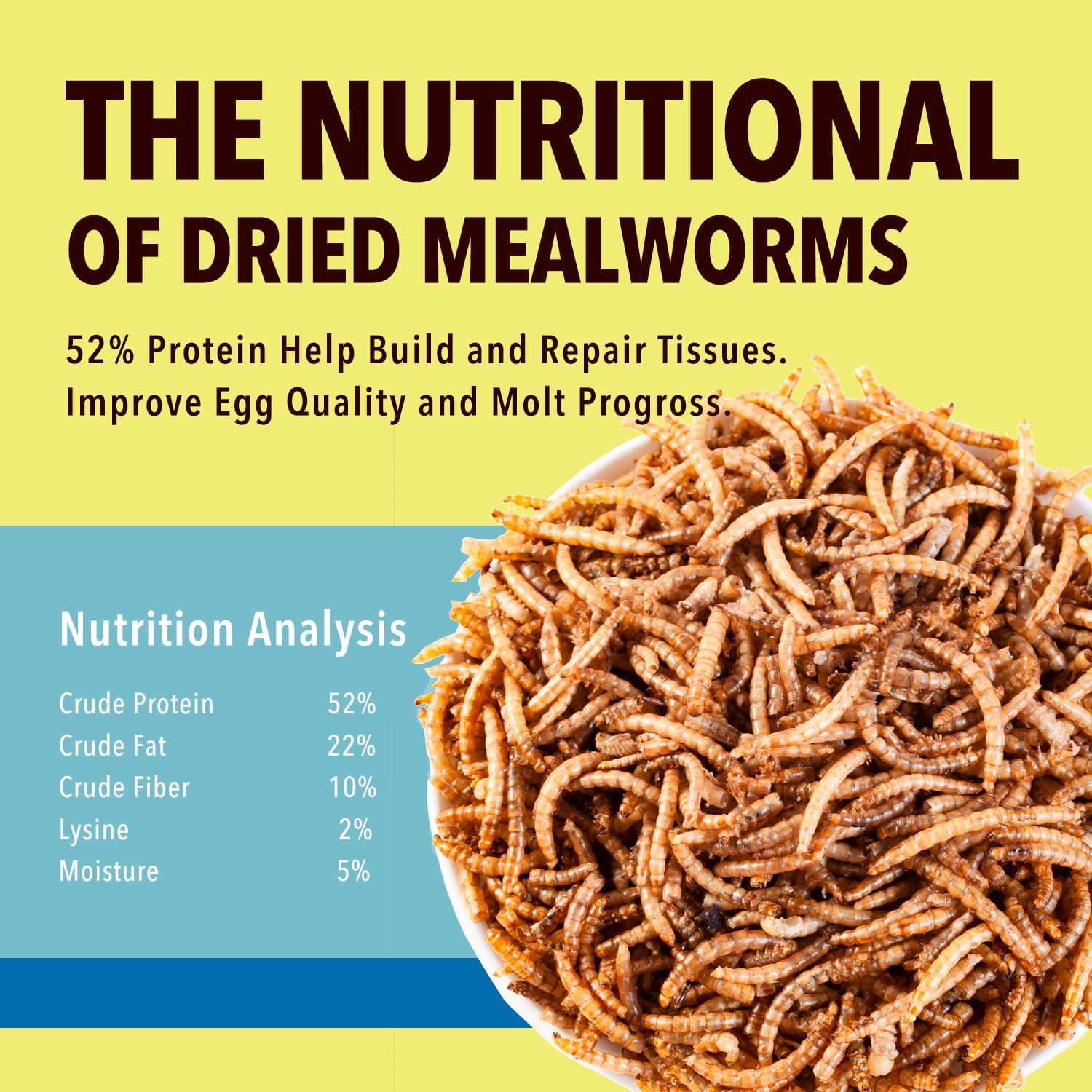 WormsFarm 10lb Dried Mealworms for Wild Birds Chickens Feed for Laying Hens,Ducks,Reptiles