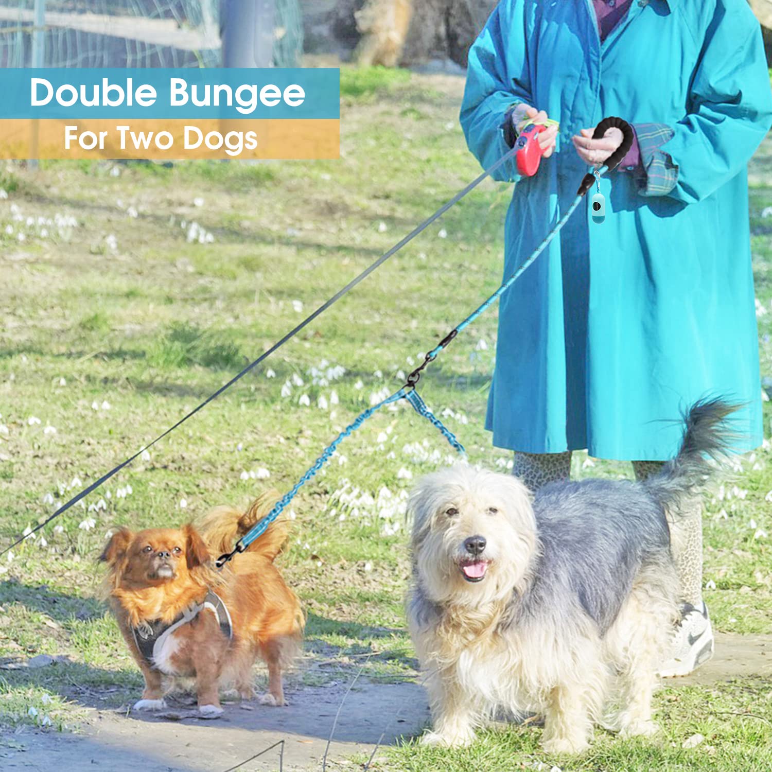 Baapet Double Dog Leash, 4 Ft Rope Dog Leash With Tangle Free Shock Absorbing Bungee And Poop Bags For Dual Small Medium Large Dogs (Small, Black)