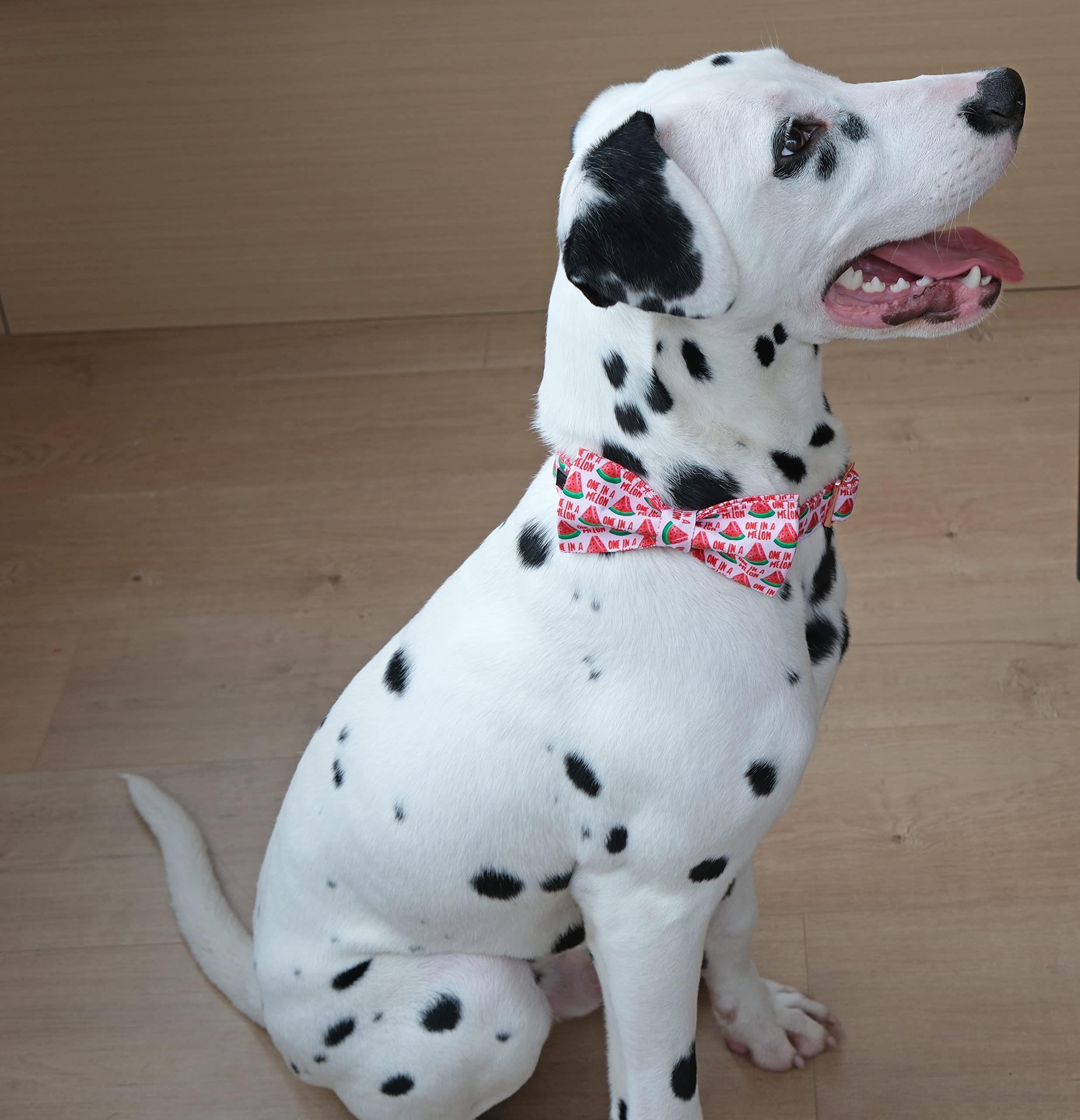 ARING PET Summer Dog Collar-Pink Watermelon Dog Collar with Bow, Adjustable Cotton Bowtie Dog Collar Pet Collars with Metal Buck