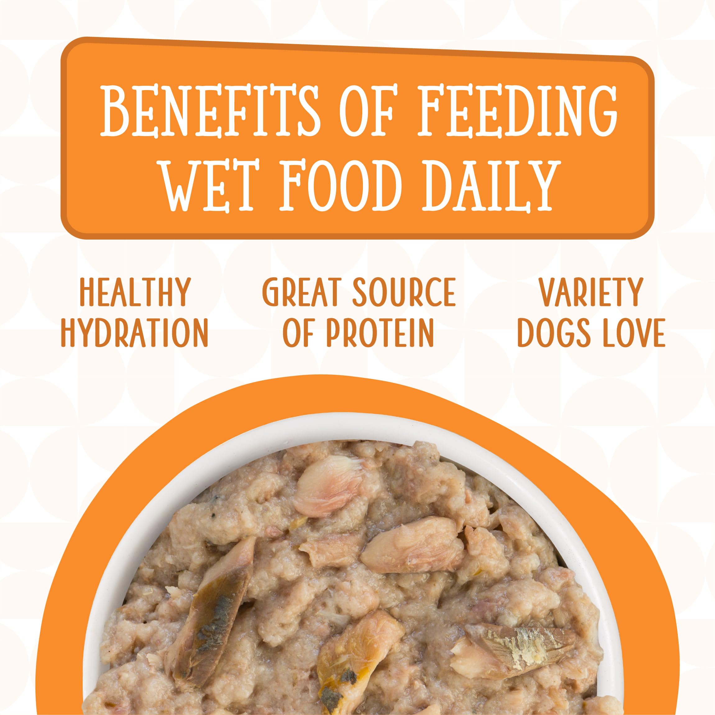 Weruva Dogs in The Kitchen, Goldie Lox with Chicken & Wild-Caught Salmon Au Jus Dog Food, 10oz Can (Pack of 12)