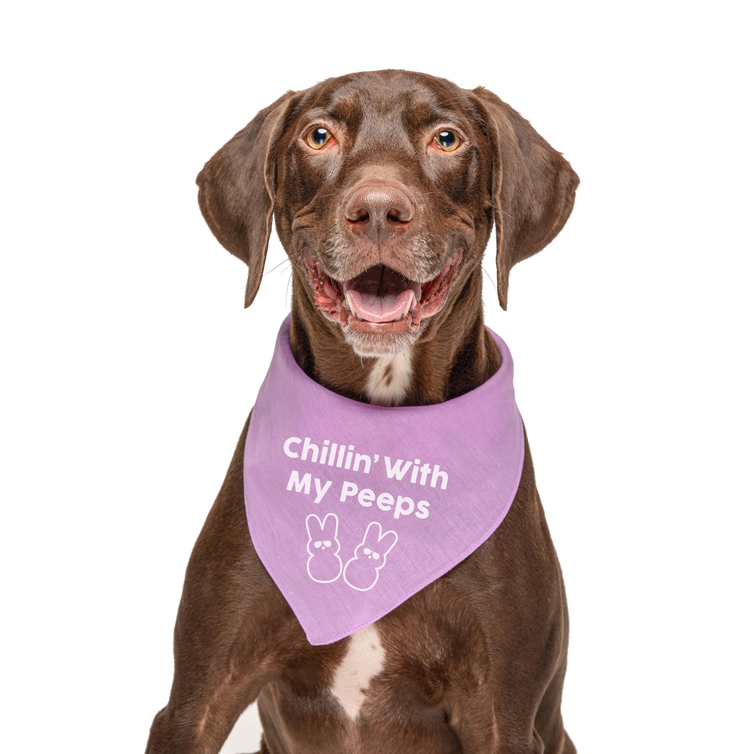 Chillin With My Peeps Dog Bandana | 100% Cotton Adjustable Triangle | Made In Usa | Pet Accessory | Easter Bunny | Egg Hunt | Cu
