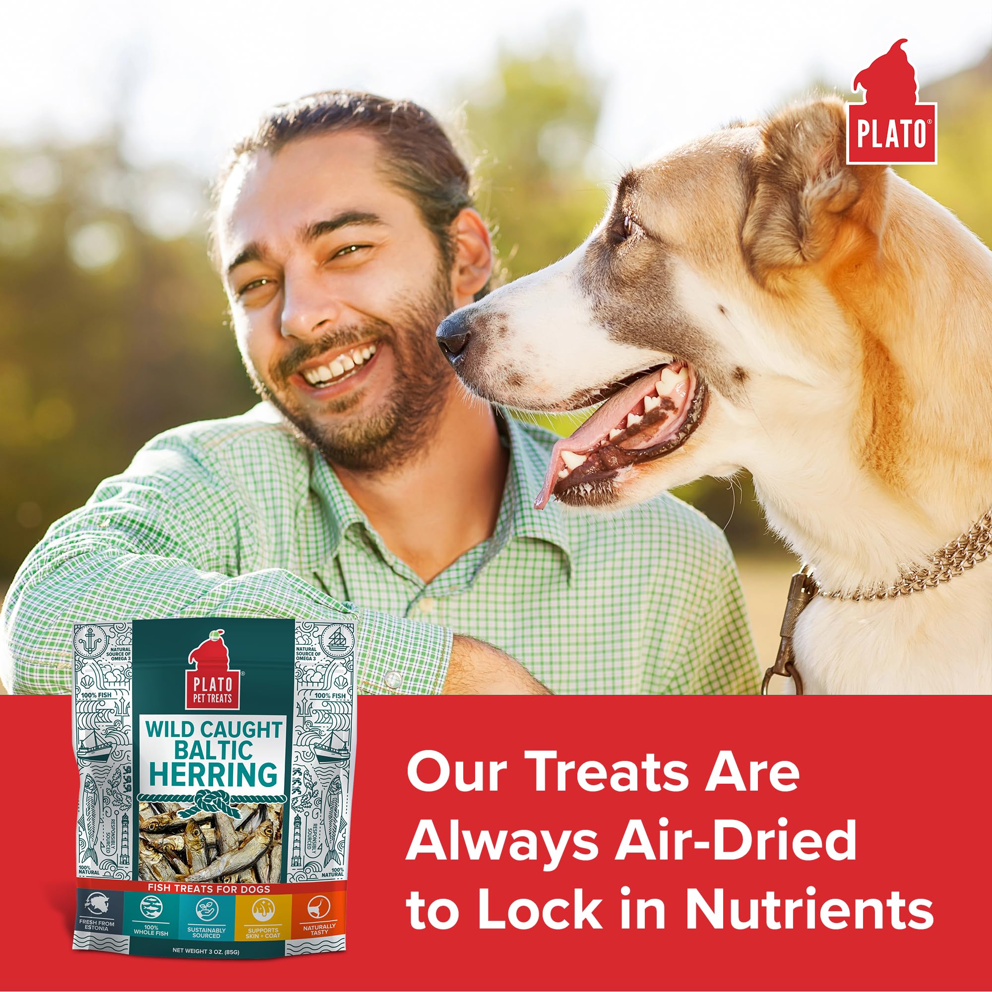 PLATO Pet Treats Fish Dog Treats - Air-Dried, Single Ingredient Dog Treat - with Omega 3 & 6 Fatty Acids to Support Skin and Coa