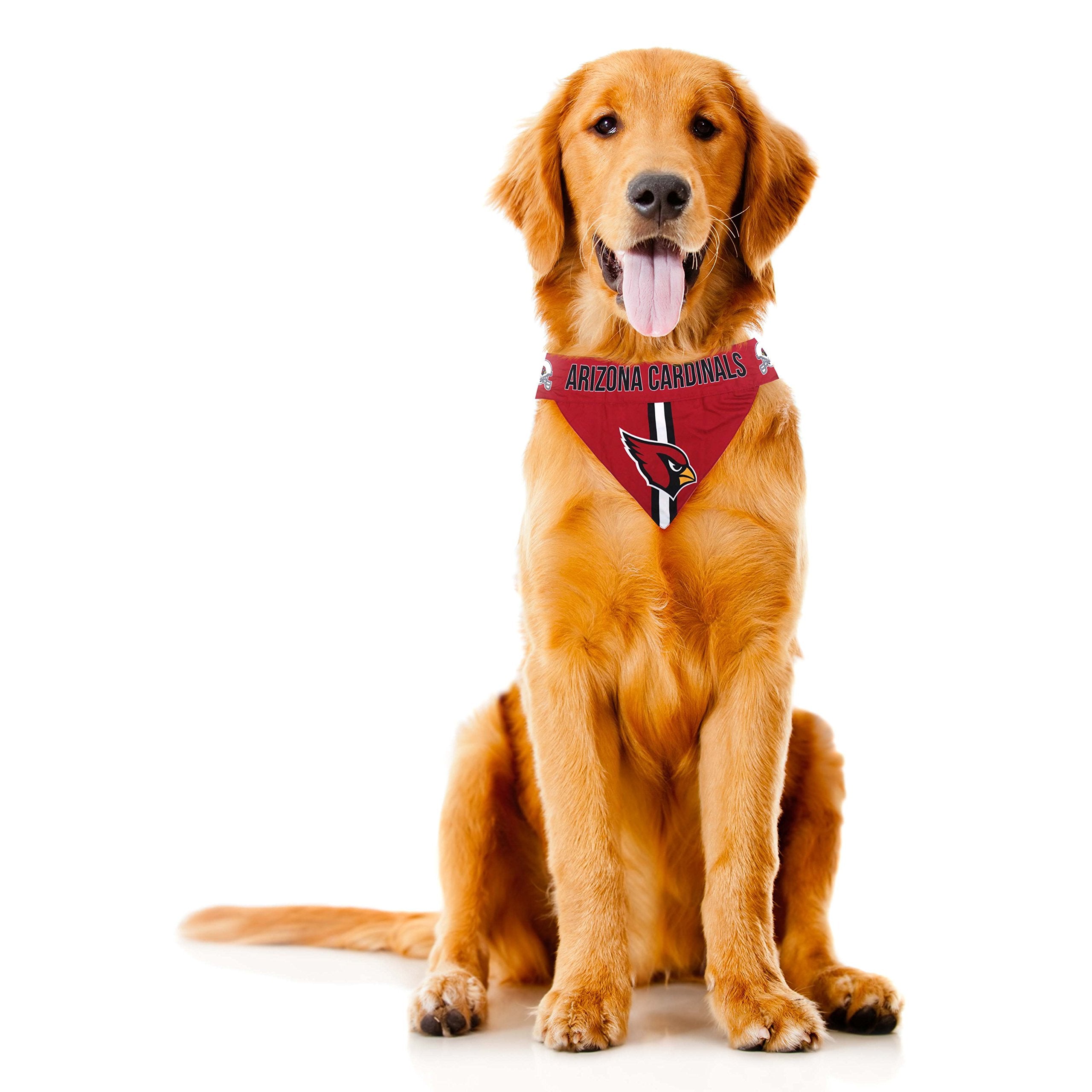 Littlearth Unisex-Adult Nfl Cincinnati Bengals Pet Bandana, Team Color, Small