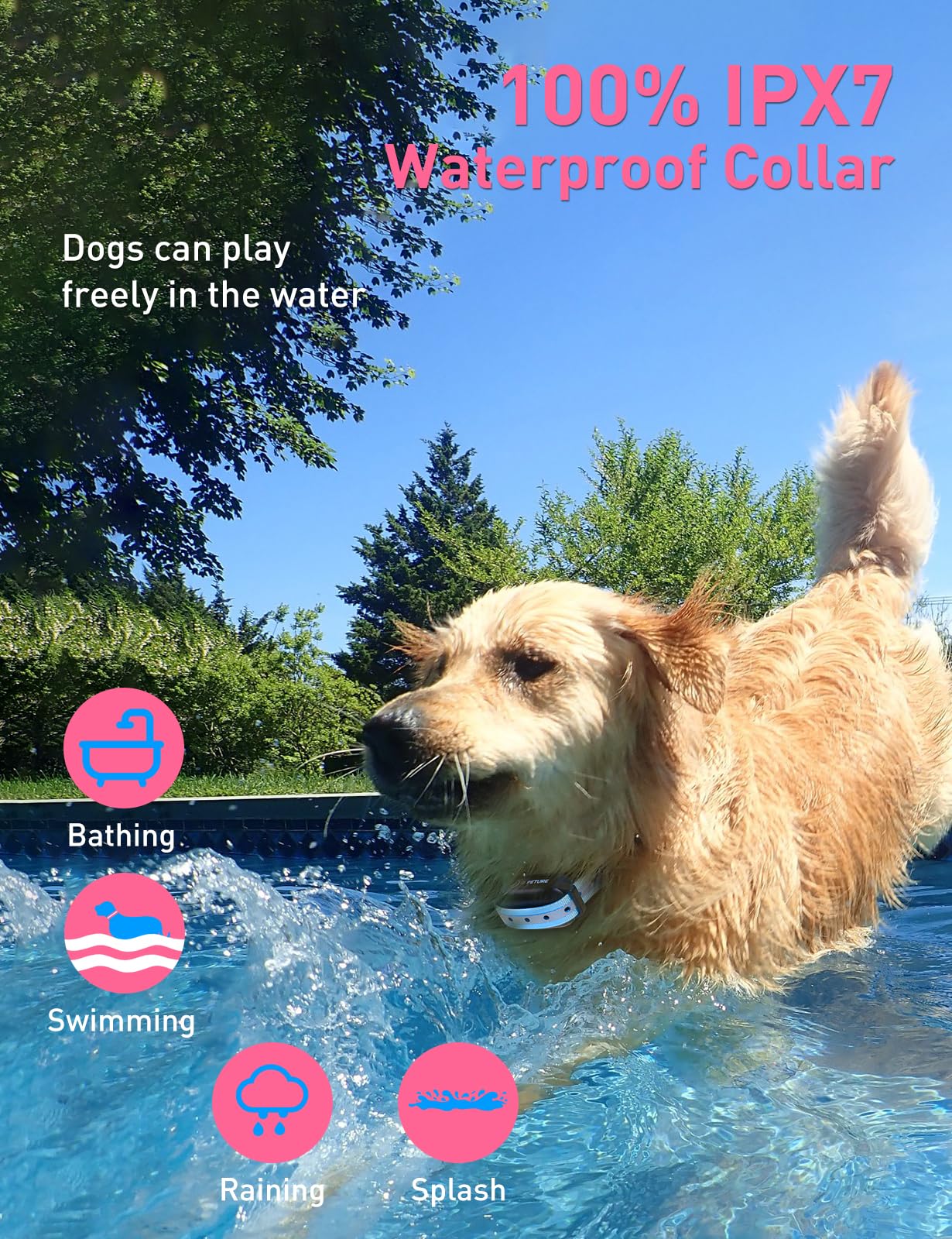 Peture Dog Training Collar for 2 Dogs (10-120lbs) 3300Ft IPX7 Waterproof Training Collar with Beep, Vibration, Static and Boost
