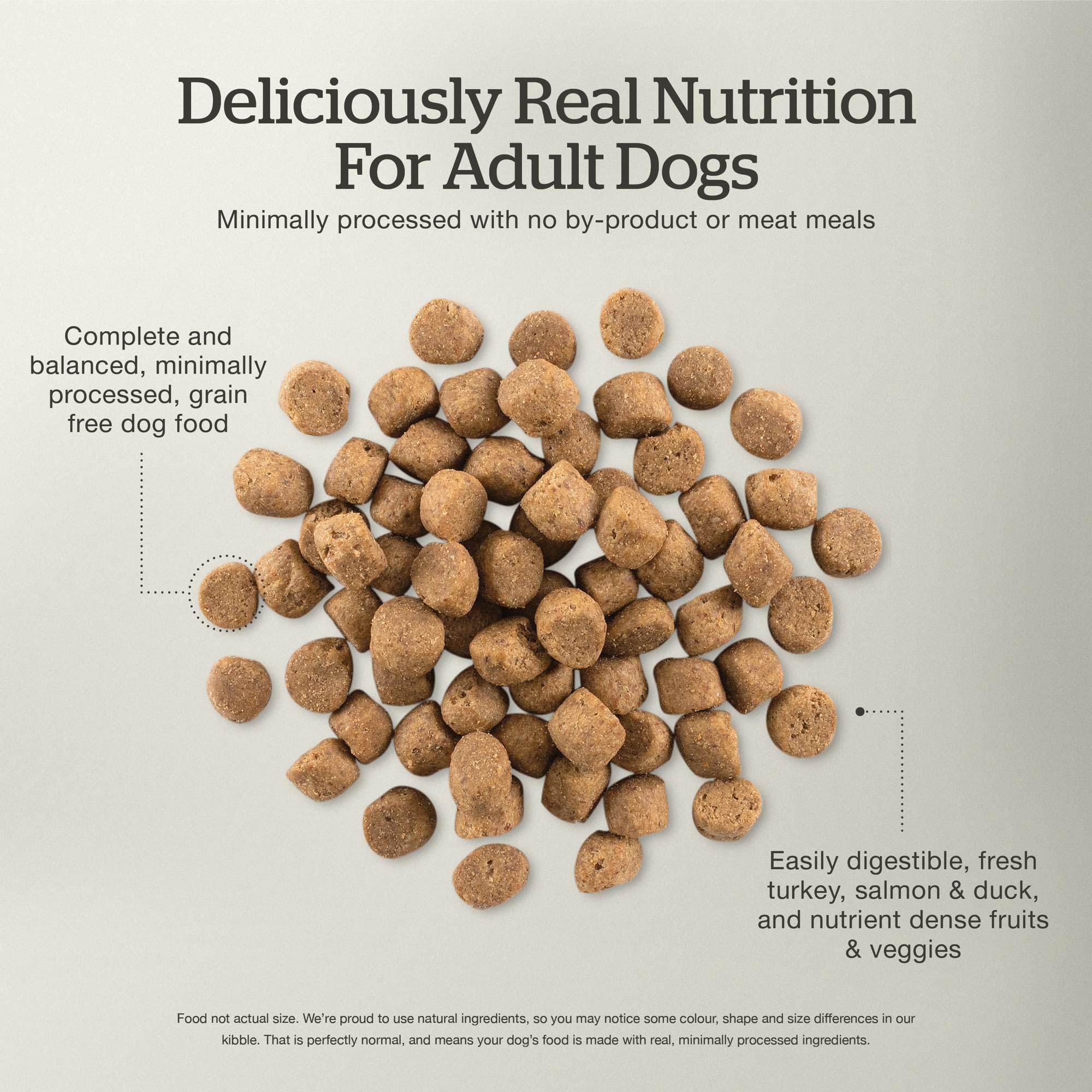Now Fresh Grain-Free, Dry Dog Food, Real Meat and Fish, Turkey, Salmon and Duck Adult Recipe, All Breed Size, 12 lb Bag