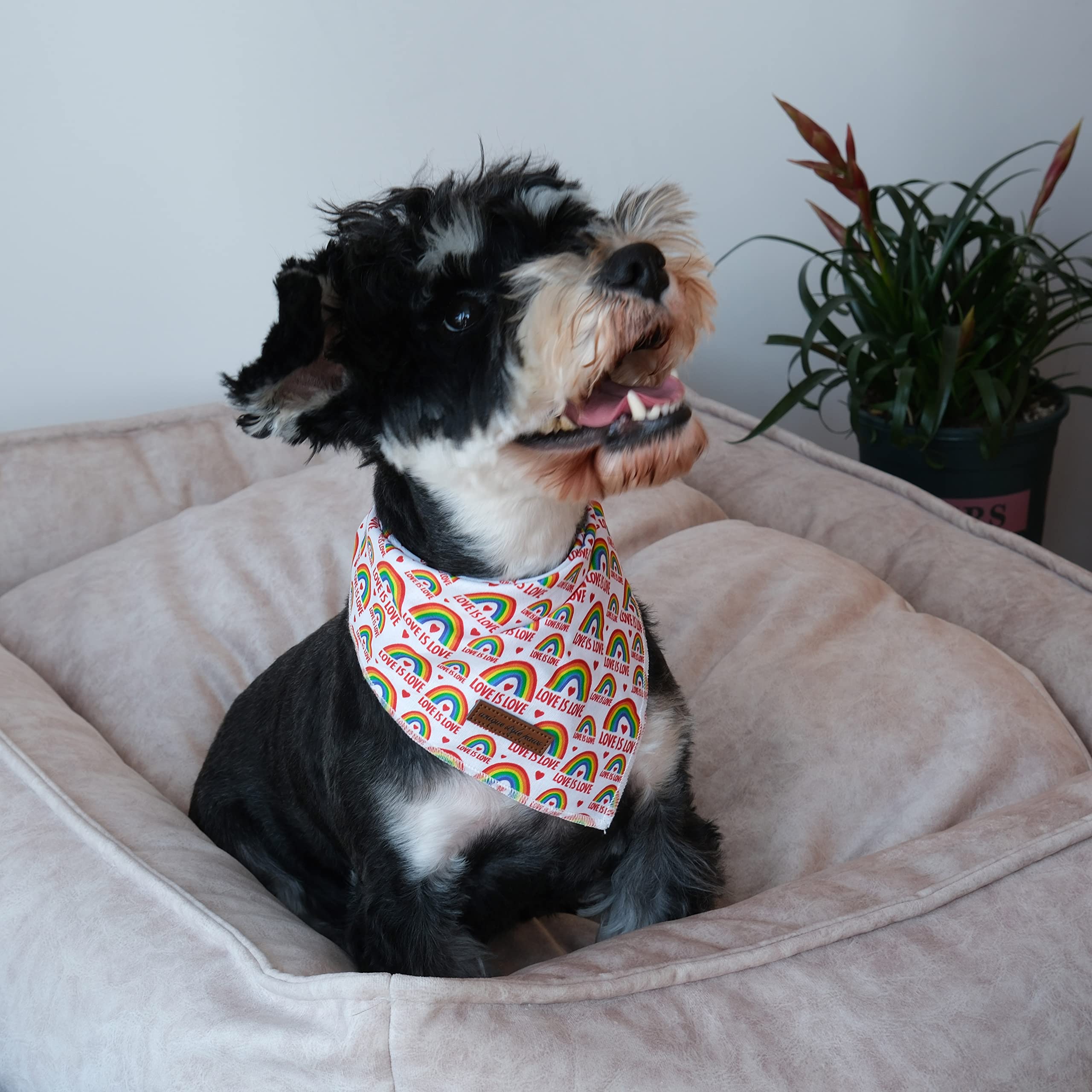 Unique Style Paws Pride Day Rainbow Dog Bandana, Love Is Love Best For Small Medium Large Boys Girls Dogs
