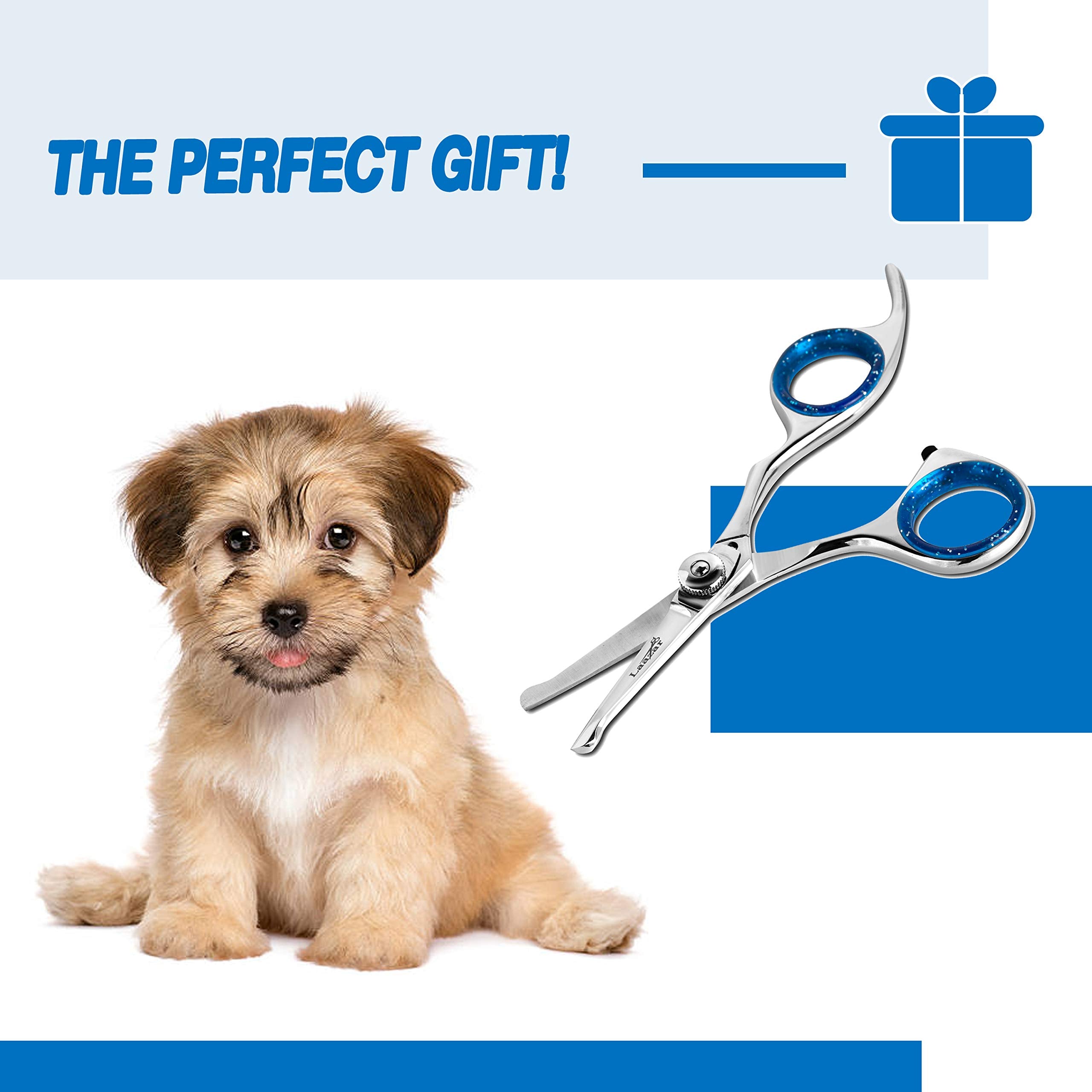 Laazar Straight Dog Grooming Scissors - Comfortable Around The Eyes Cat & Dog Scissors | Blunt Dog Trimming Scissors| Premium St