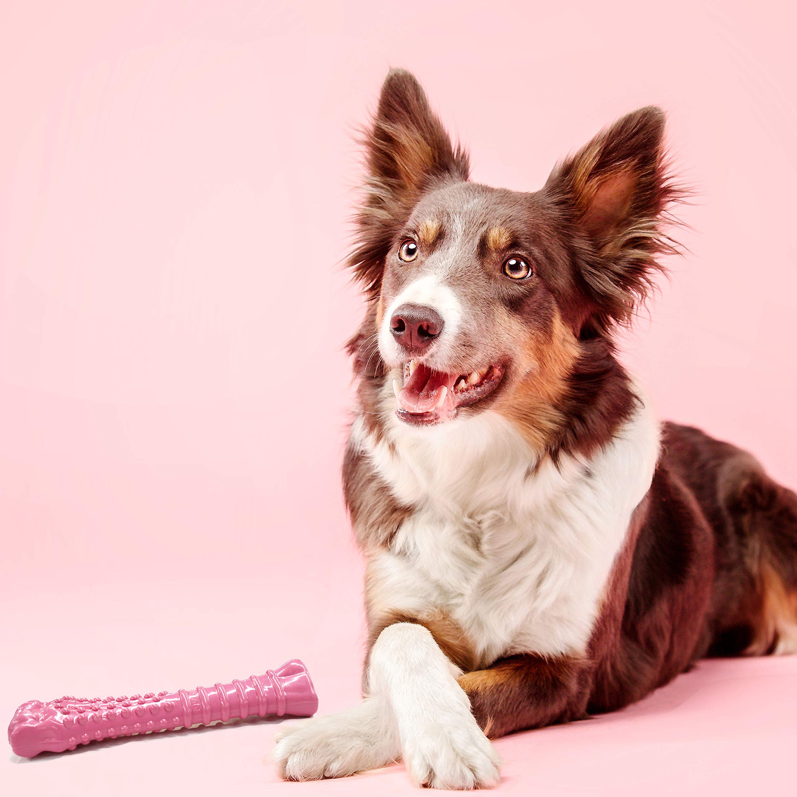Nylabone Power Chew Breast Cancer Awareness Femur Bone Chew Toy for Dogs, Indestructible Dog Toys for Aggressive Chewers, Chicke