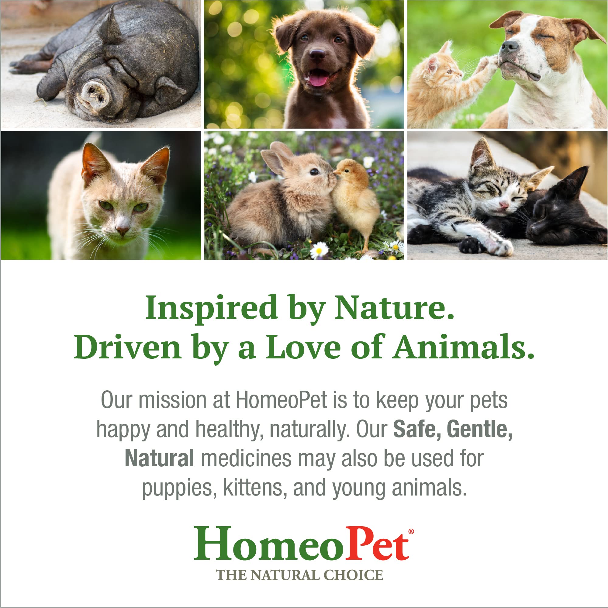 Homeopet Hot Spots, Safe And Natural Cat And Dog Skin-Soothing Medicine For Red, Irritated, And Flaky Pet Skin, 15 Milliliters