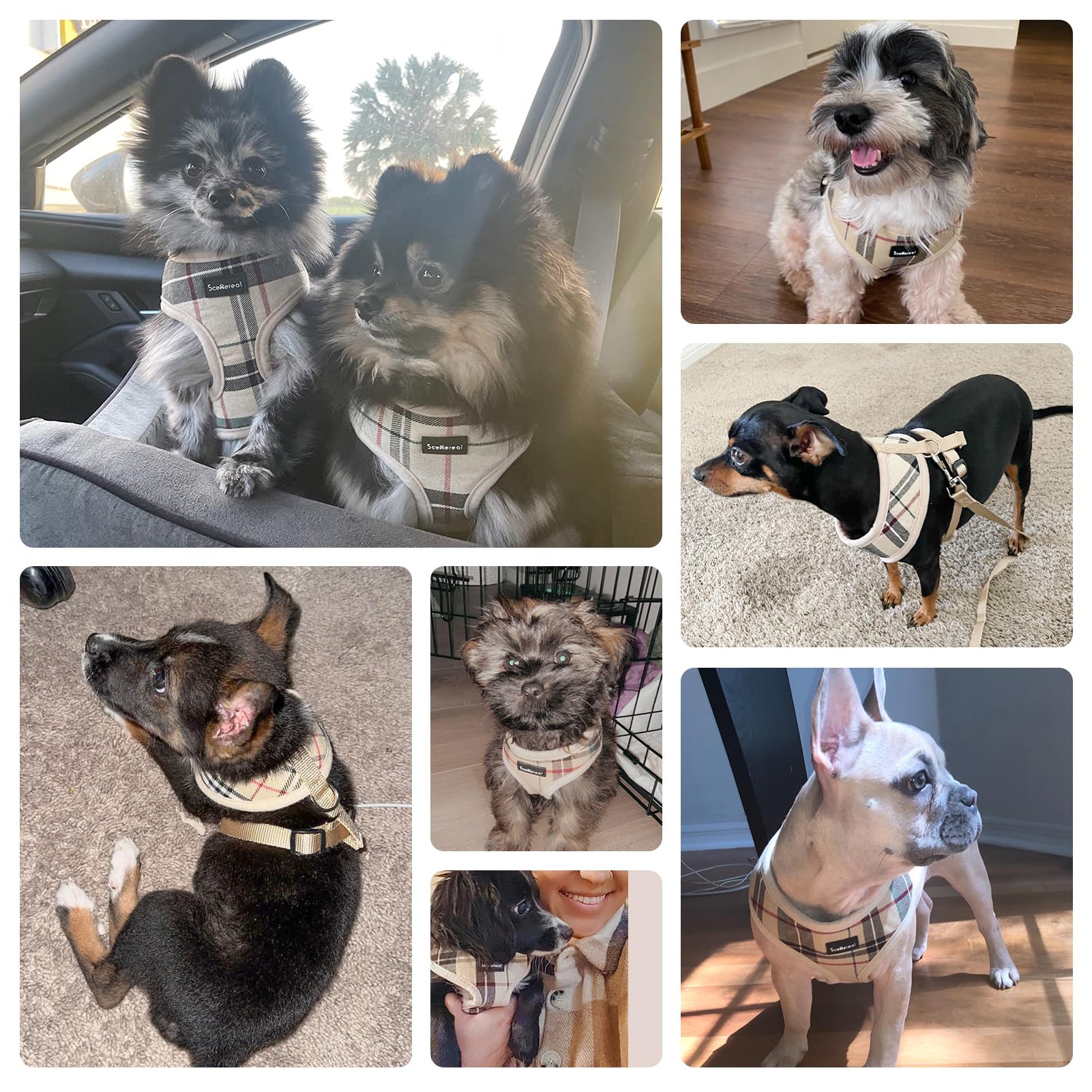 Scenereal Puppy Dog Harness With Leash Set For Small Medium Dogs, Soft Mesh Step In Pet Harnesses And Leash, No Chock Plaid Adjustible No Pull Vest