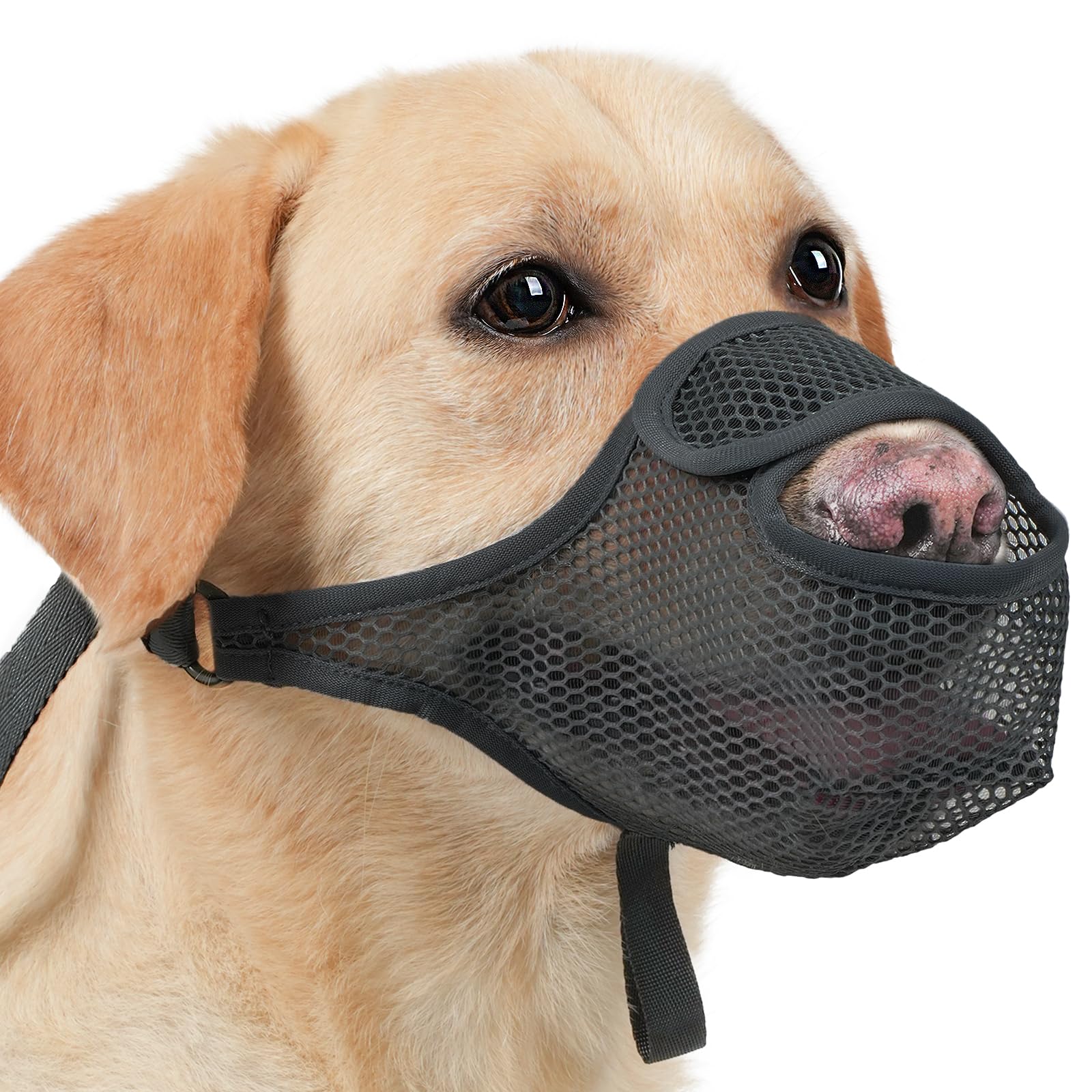 LUCKYPAW Dog Muzzle for Large Medium Small Dogs, Patented Mesh Muzzle to Prevent Biting Chewing Eating, Soft Mouth Guard with Fr