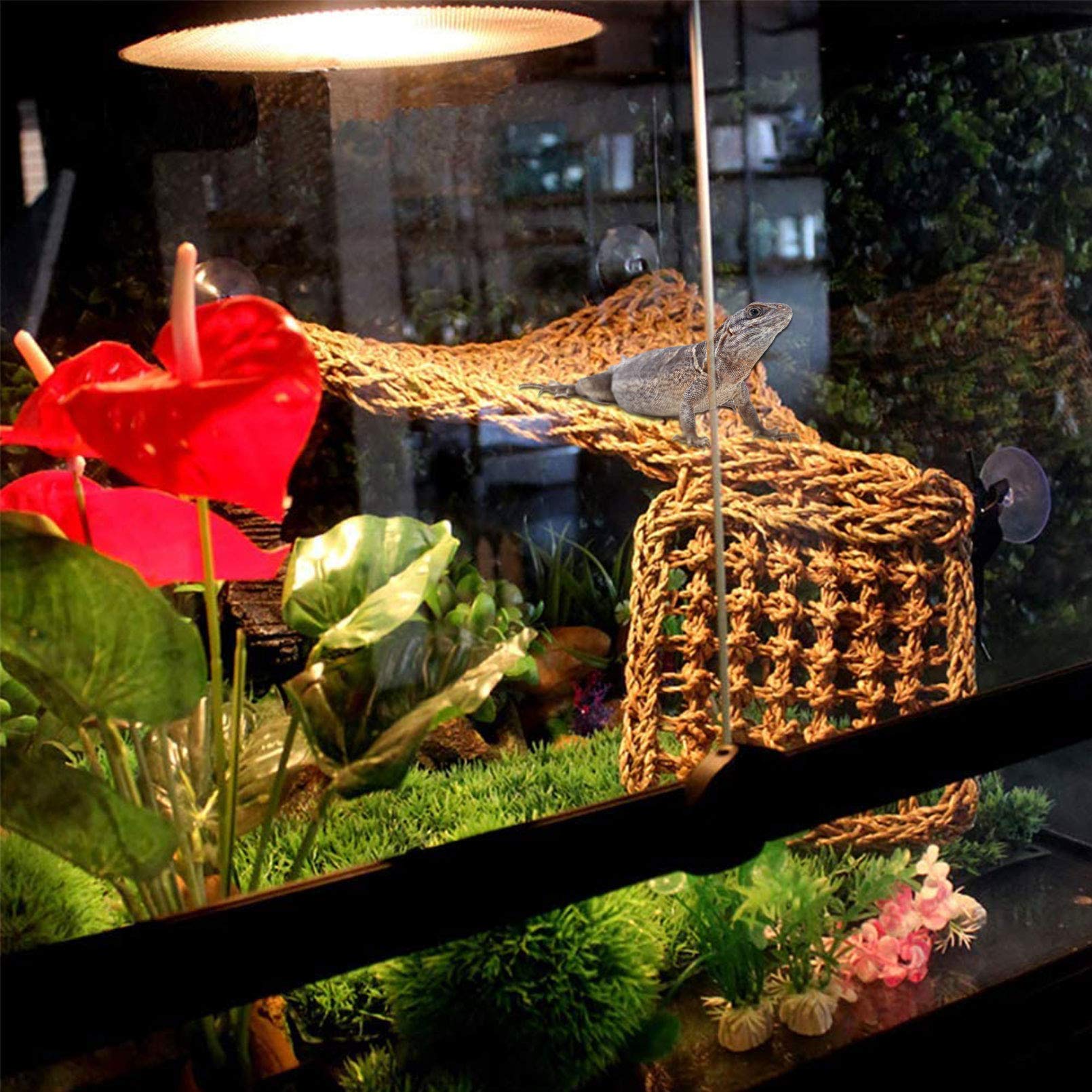 Pinvnby Bearded Dragon Hammock Lizard Natural Seagrass Habitat Reptile Tank Accessories Jungle Climber Vines Flexible Leaves Decor For Climbing Chameleon Hermit Crabs Gecko Snakes