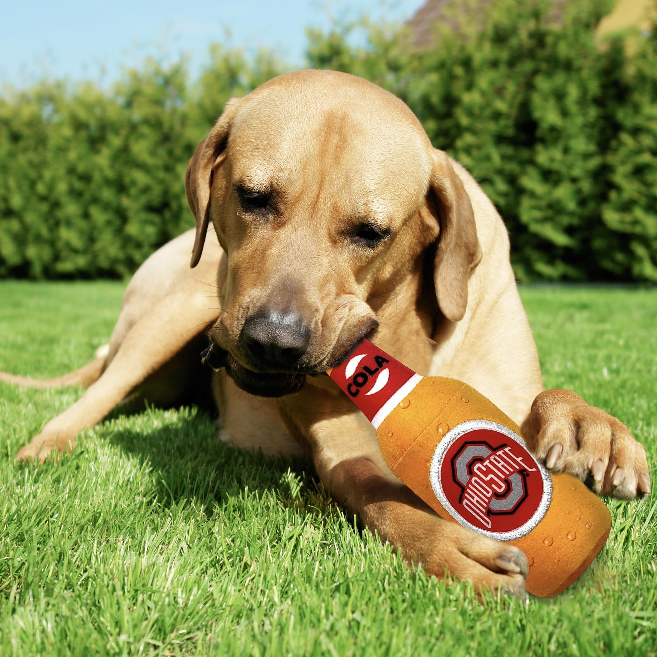 Ncaa Ohio State Buckeyes Beer Bottle Plush Dog & Cat Squeak Toy- Cutest Stadium Soda Bottle Snack Plush Toy For Dogs & Cats With