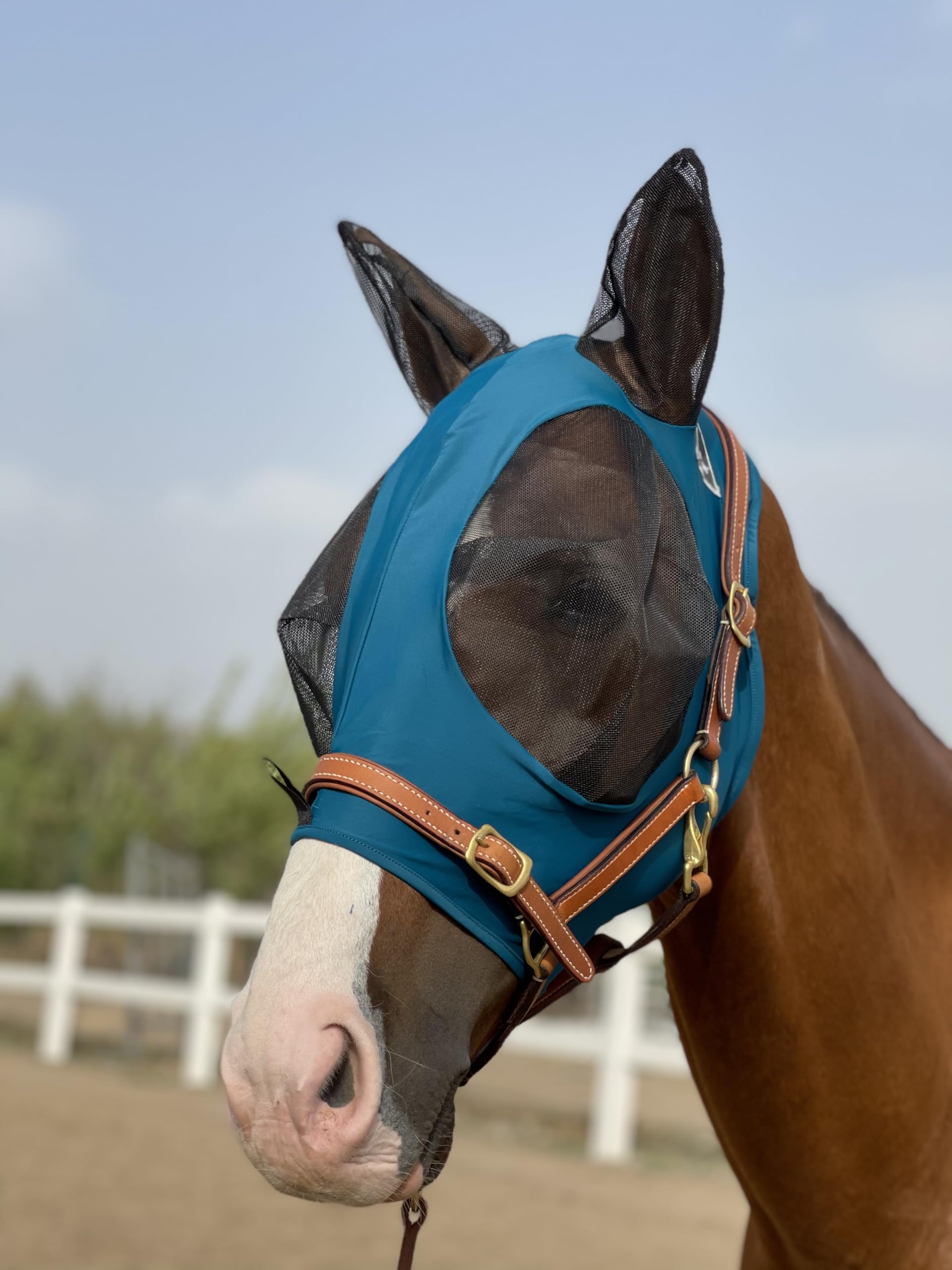 Horse Fly Mask Super Comfort Horse Fly Mask Elasticity Fly Mask with Ears We Only Make Products That Horses Like (Dark Green, M)