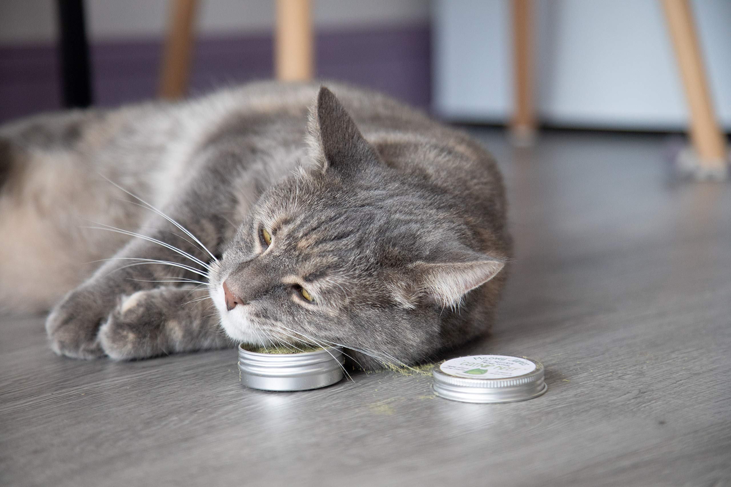 Meowy Janes All Natural Magic Cat Play Powder - Catnip And Silvervine Powder Blend - Cat Toy Dry Rub