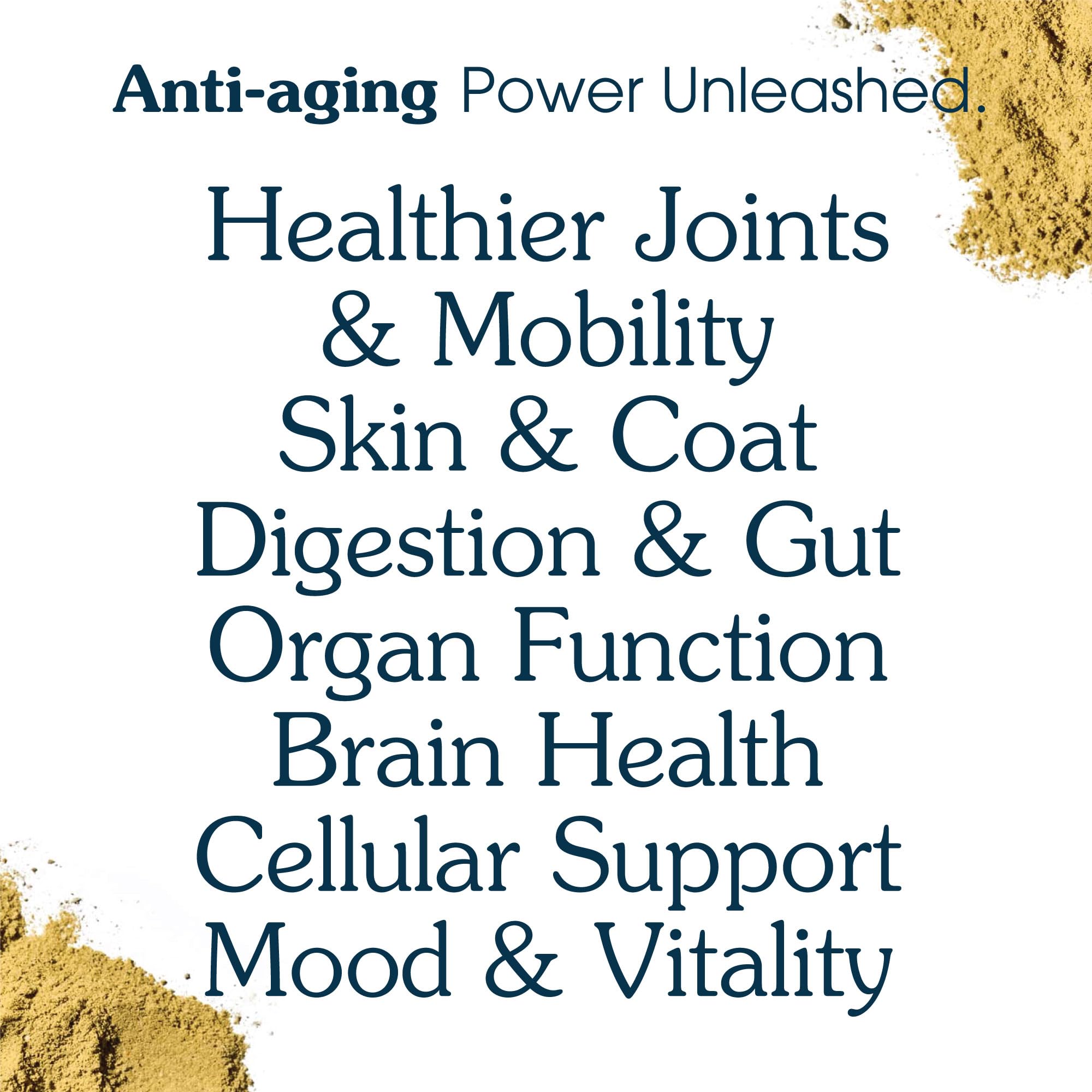 Longevity Multivitamin for Senior Dogs - 63 Ingredients for Joint, Gut, Immune & Brain Health - Supplement & Food Topper with Gl