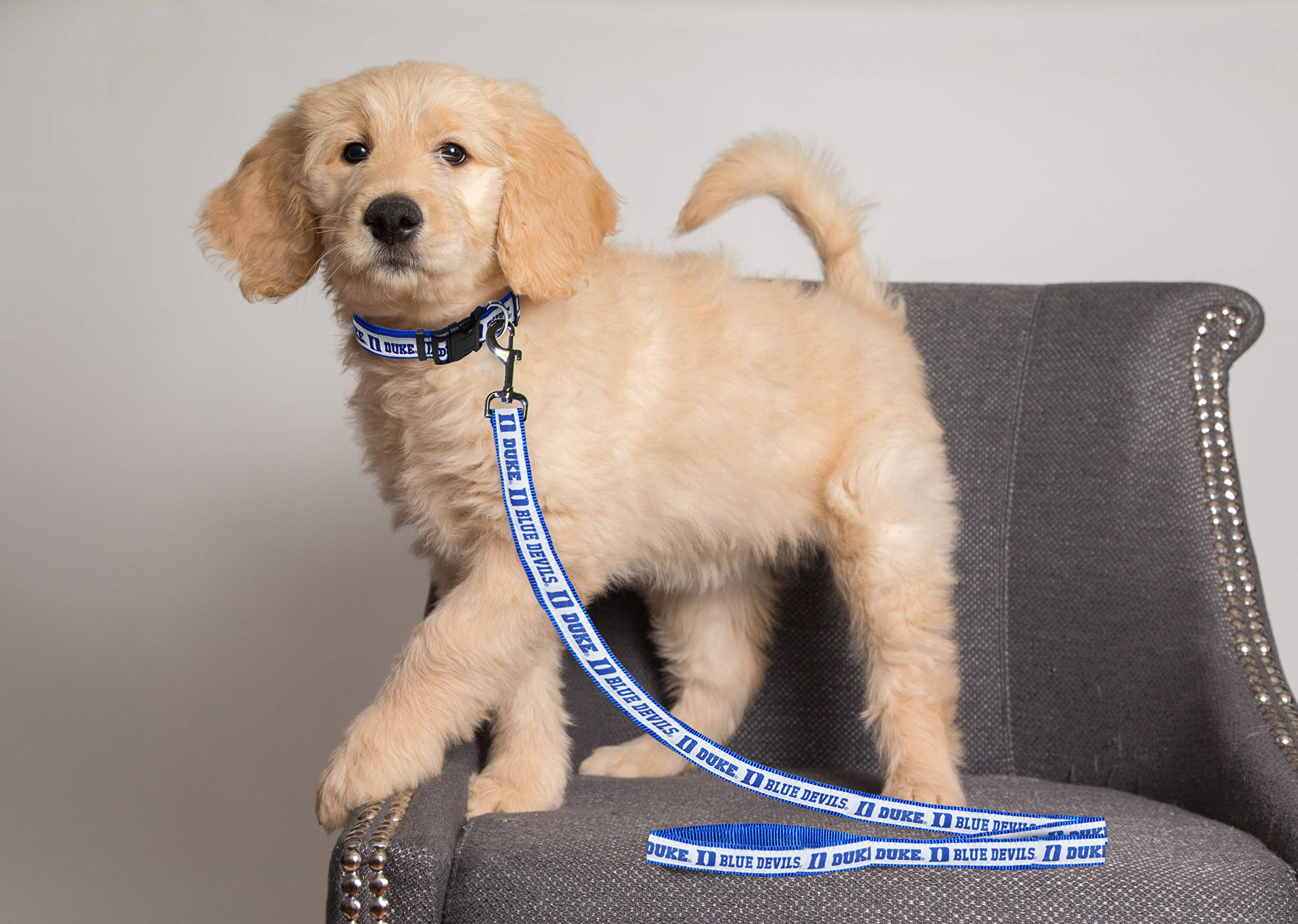 Ncaa Pet Leash, Large, Duke Blue Devils, Dog Leash, Shiny & Colorful Leash For Dogs & Cats Licensed By The Ncaa