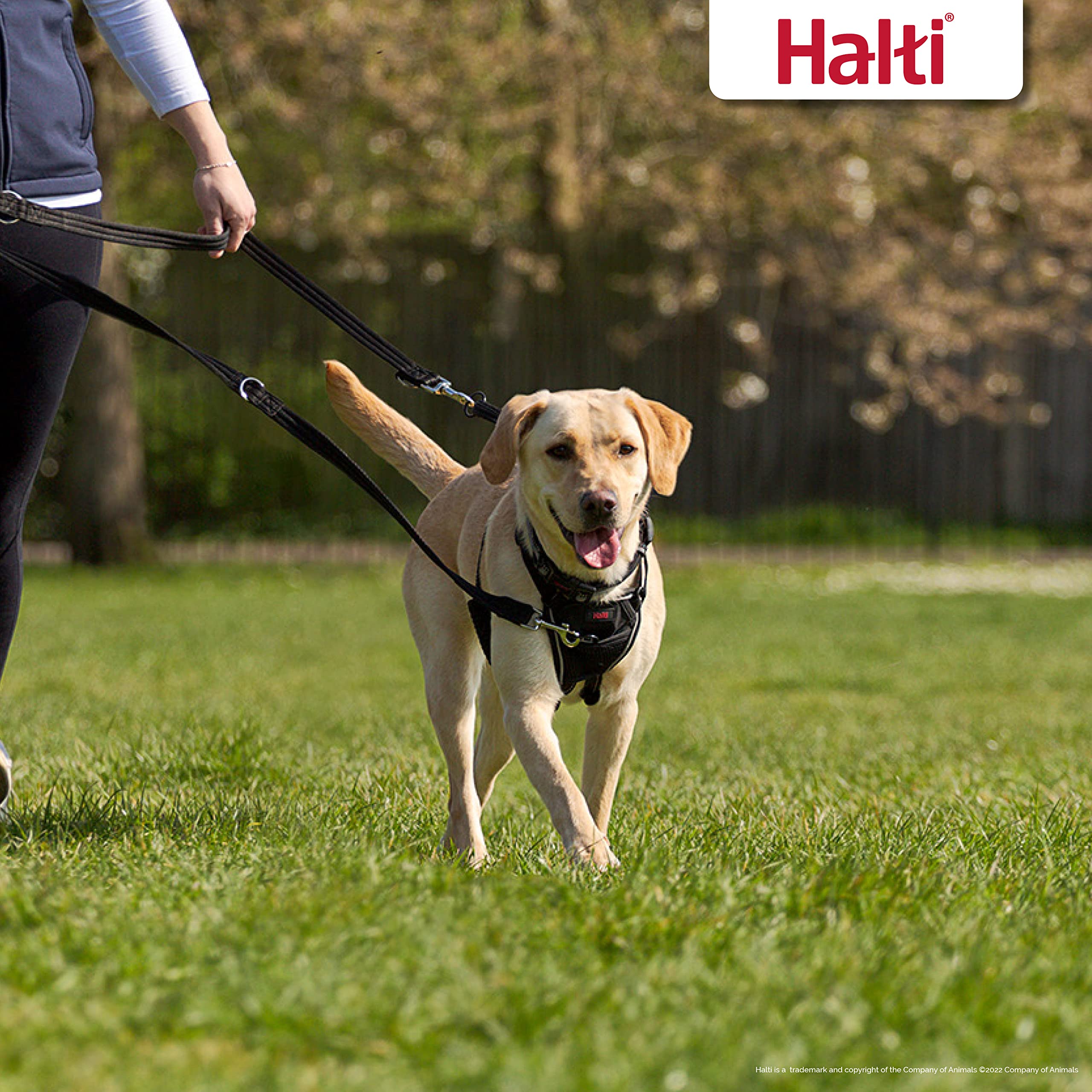 Halti Training Leash - Multifunctional Double-Ended Dog Leash, Ideal For Anti-Pulling Dog Training. Easy To Use, Lightweight, Soft & Durable. Suitable For Puppies And Small Dogs (Size Small, Black)