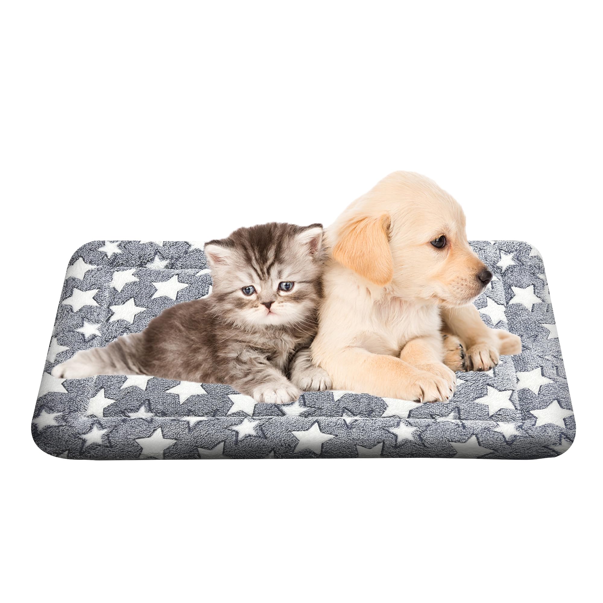 Wittop Small Dog Bed, Flat, And Mats For Crates, Affordable And Washable, Puppies Or Small Breeds, Travel-Friendly Design, Perfe