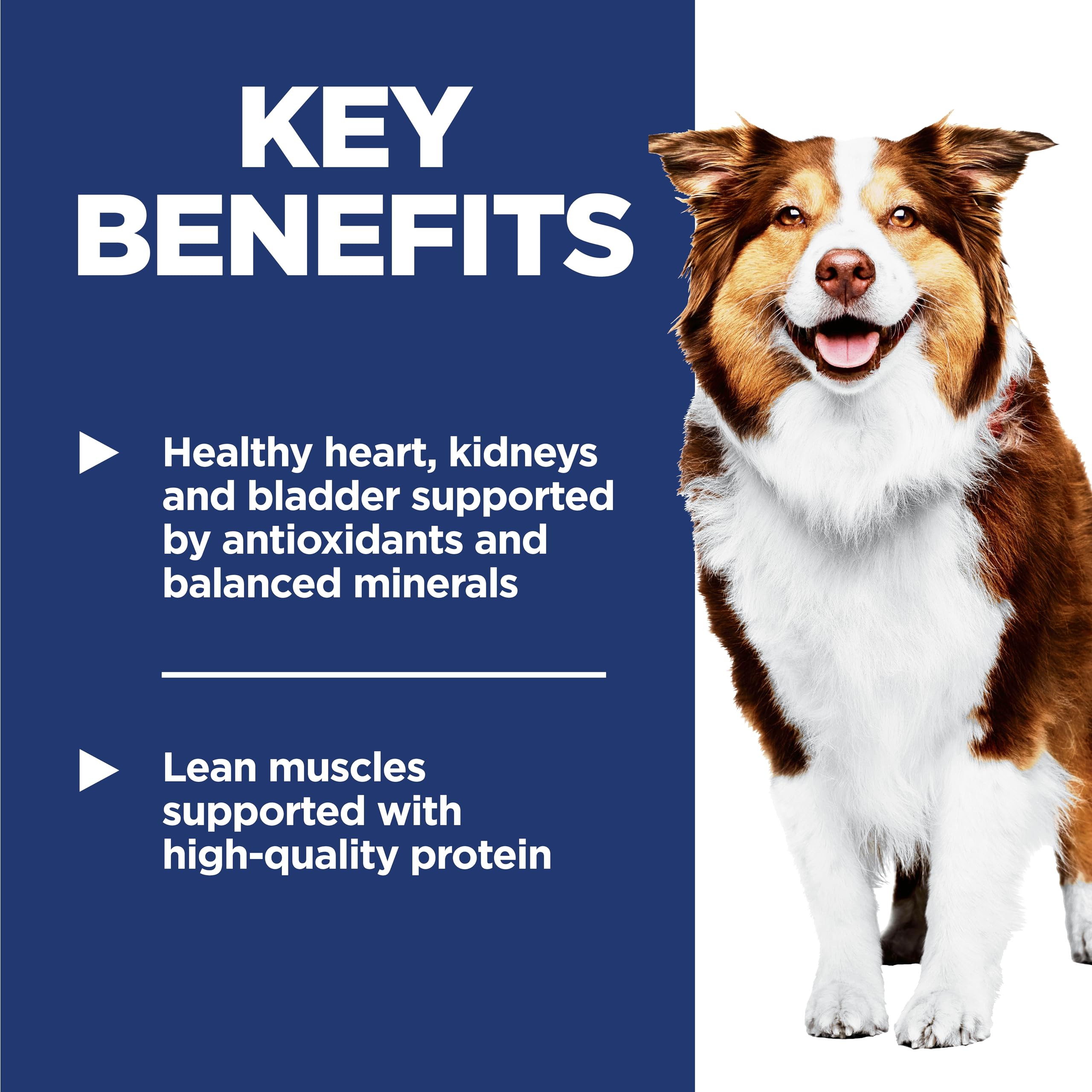 Hills Science Diet Adult 7+, Senior Adult 7+ Premium Nutrition, Dry Dog Food, Chicken, Brown Rice, & Barley, 33 lb Bag