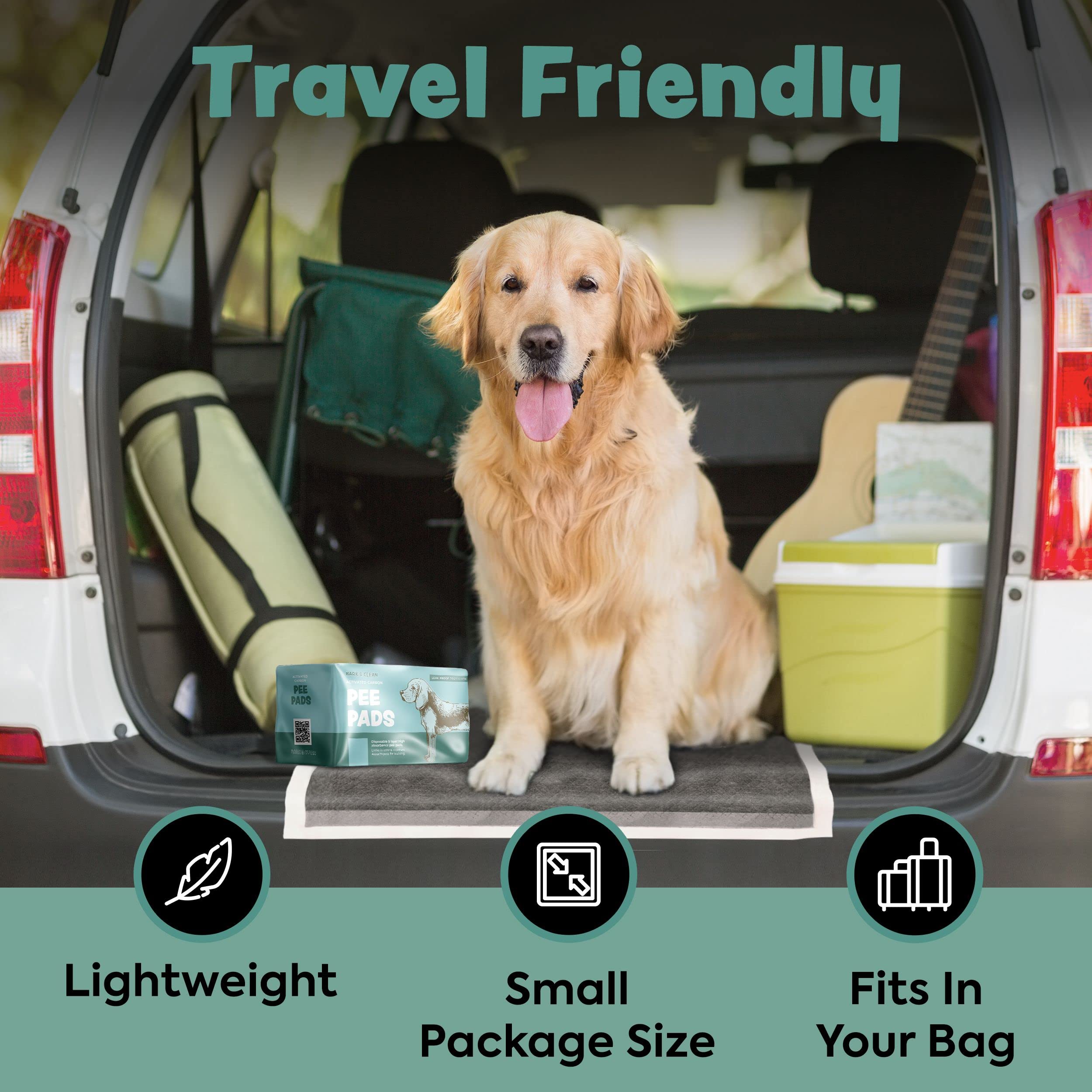 Disposable Puppy Pads Potty Training - 10 Activated Charcoal Pee Pads For Dogs With Attractant - Wee Wee Absorbent, Odor Neutralizer Dog Pads - Five Layered Pet Potty Pads - 36' X 36'