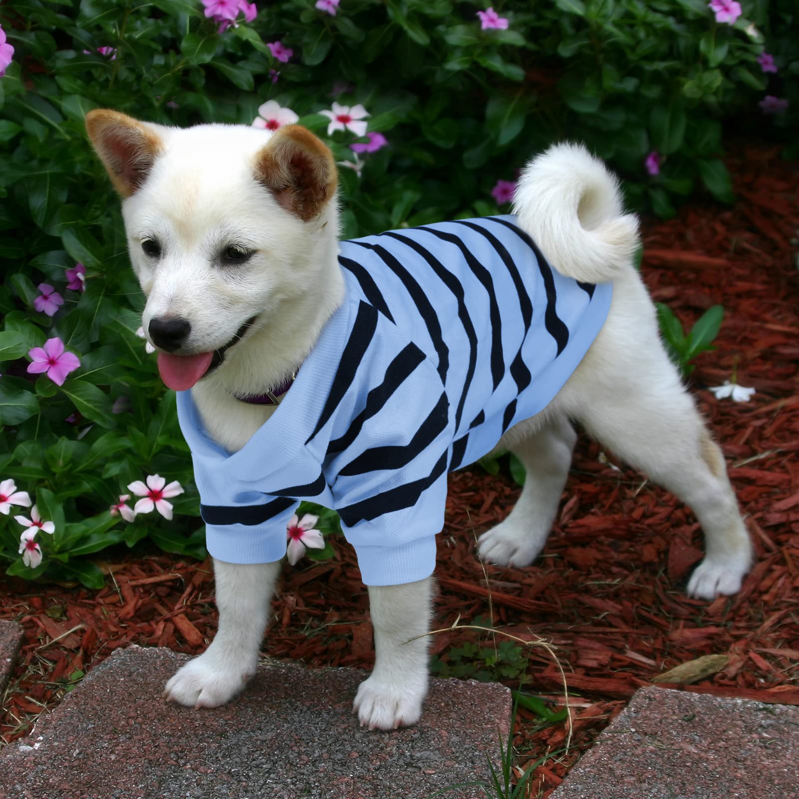 Preferhouse Pet Dog Striped T-Shirt Dogs Cats Cotton Vest Spring Summer Pet Apparel Tee Shirt Suitable For Small And Medium Large Pets French Bulldog Bichon