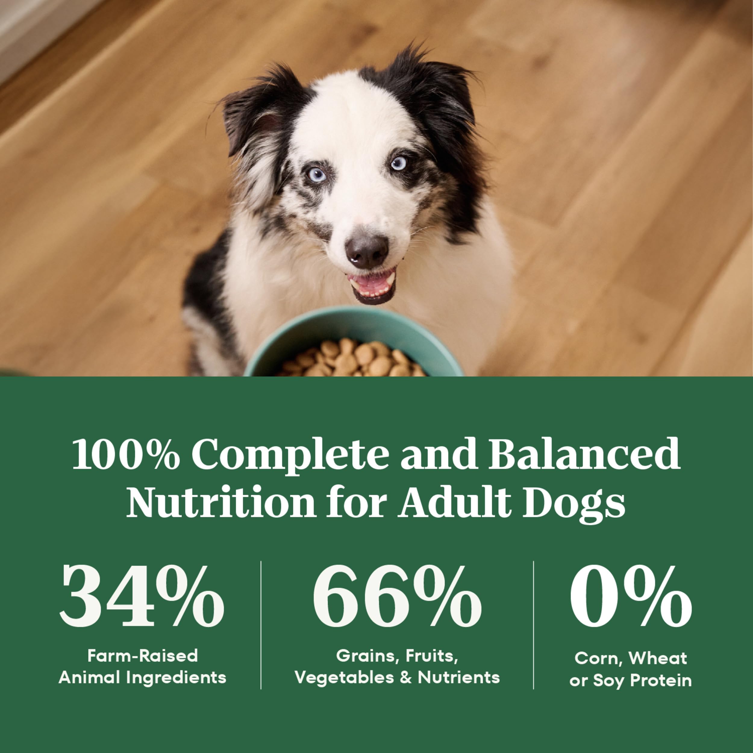 Nutro Natural Choice Adult Healthy Weight Dry Dog Food, Lamb and Brown Rice Recipe, 30 lbs.