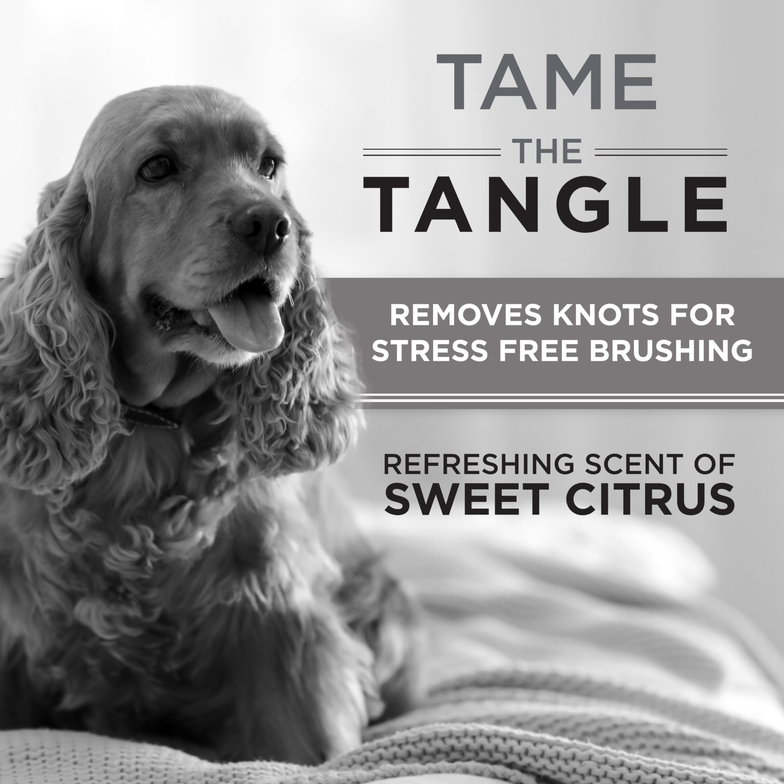 Tropiclean Perfect Furdetangler Spray For Dogs - Made In Usa - Detangling & Dematting Formula - Removes Mats & Knots For Gentle, Easy Brushing - Naturally Derived, 8Oz